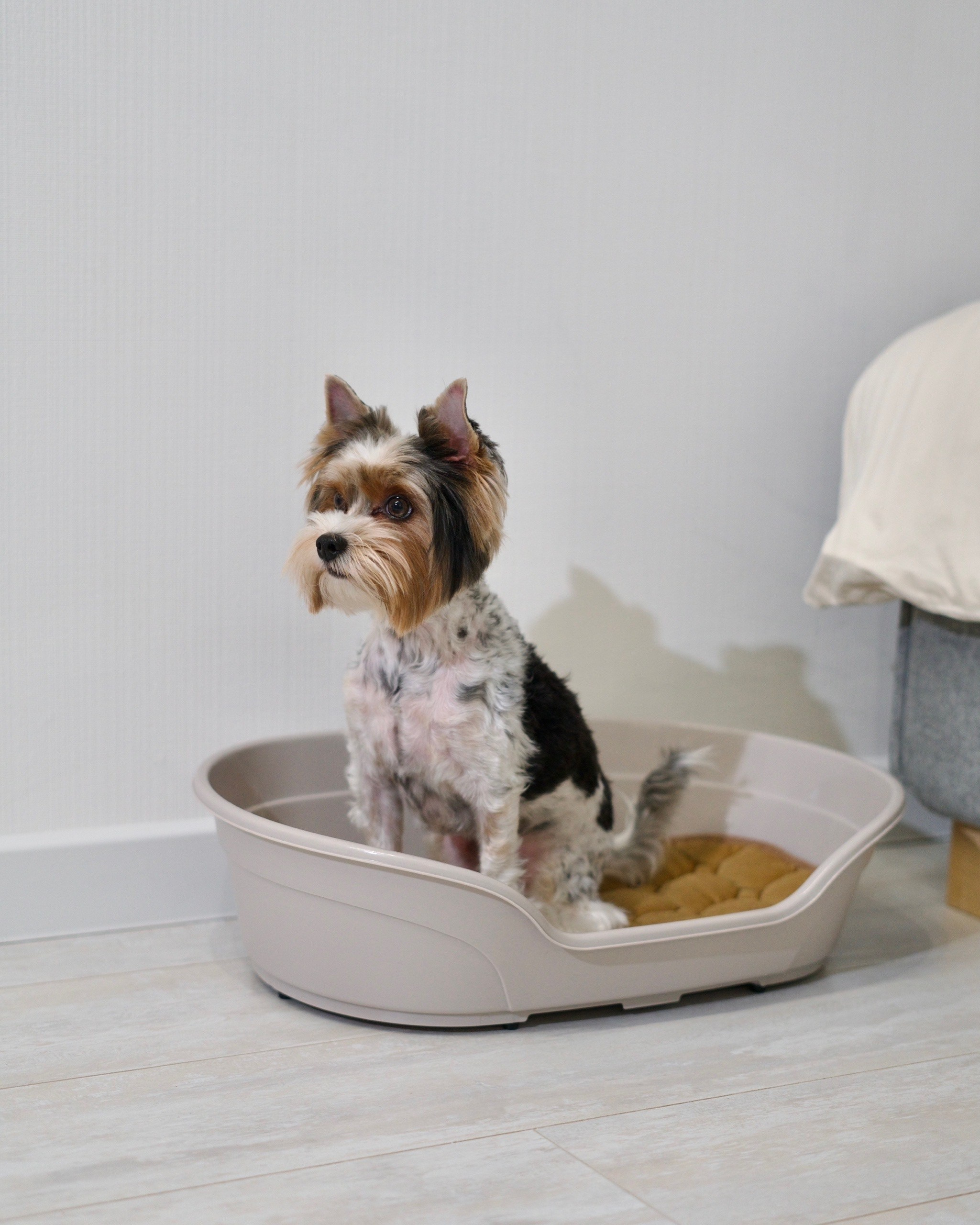 Stefan | Товары для маркетплейсов. Фотограф Александра Волкова | Волгоград