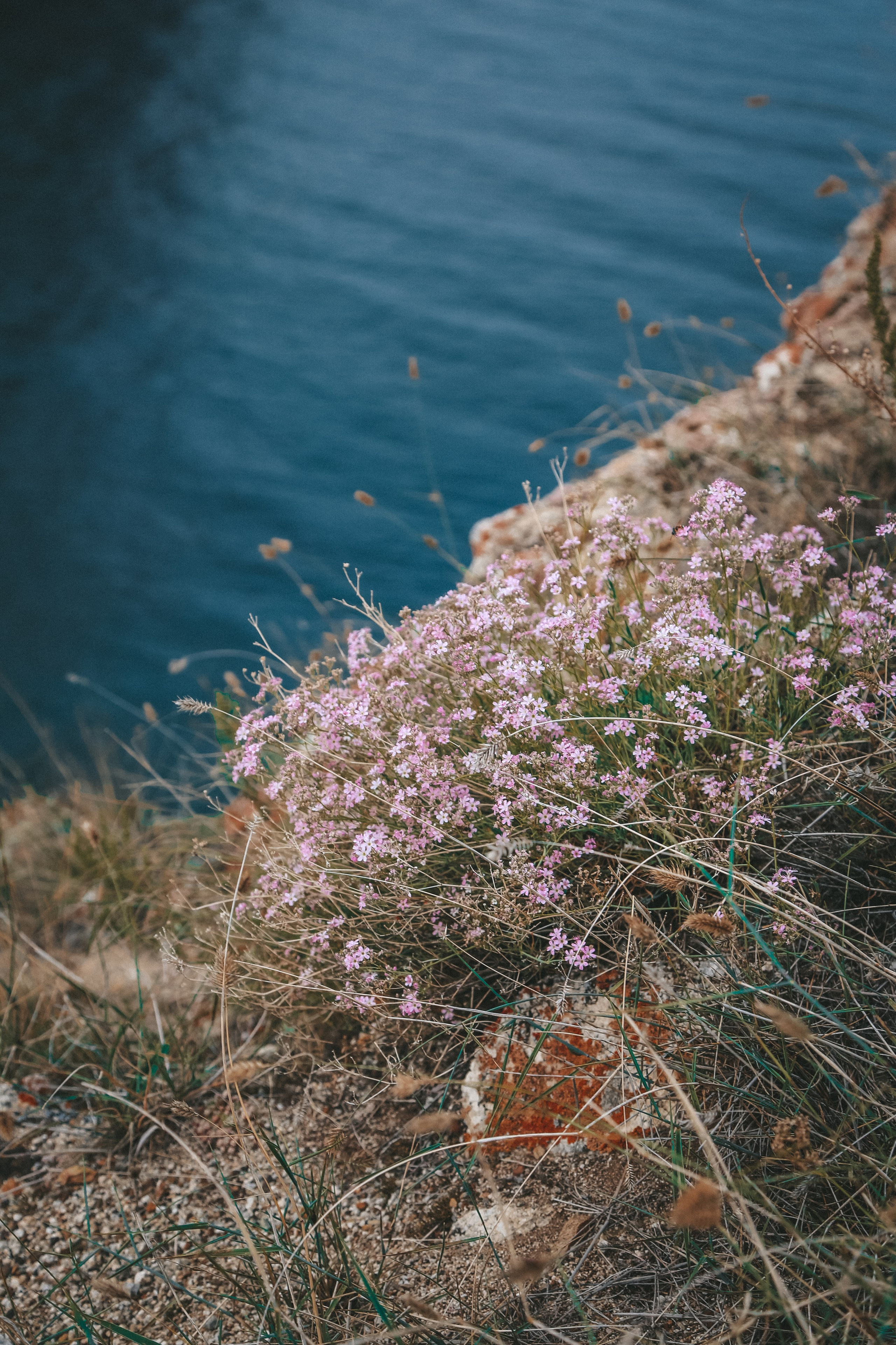 Байкал летний: легенды и святыни. Дарья Письменюк / Darya Leitstern — фотограф, музыкант, журналист, путешественник