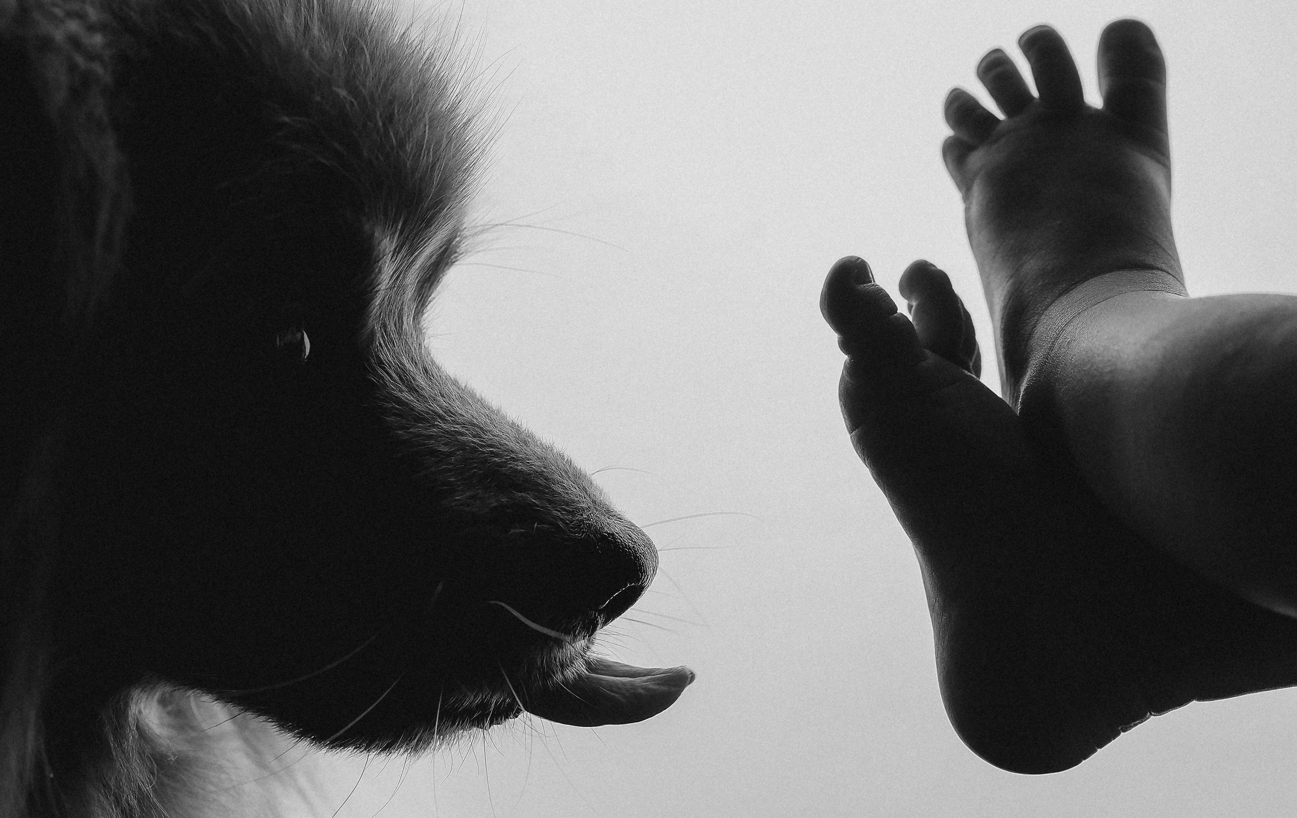 Портфолио. Ньюборн и детский фотограф в Москве Шигина Марина
