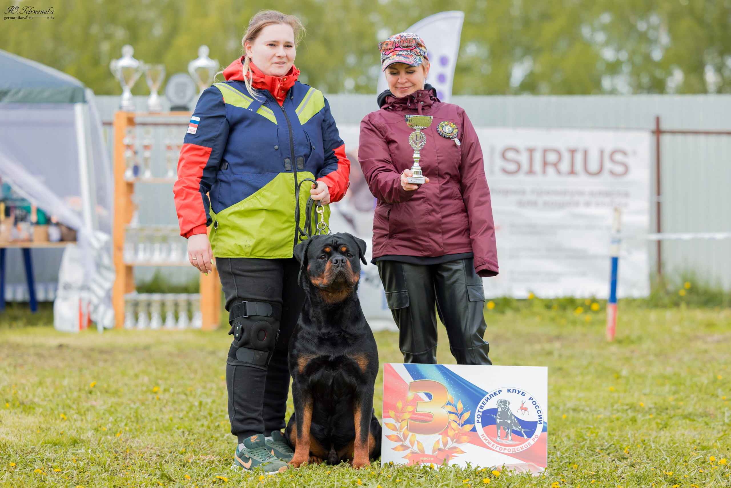 Нижний Новгород 11-12.05.2024 моно ротвейлеров. Фотограф-анималист Юлия Германика