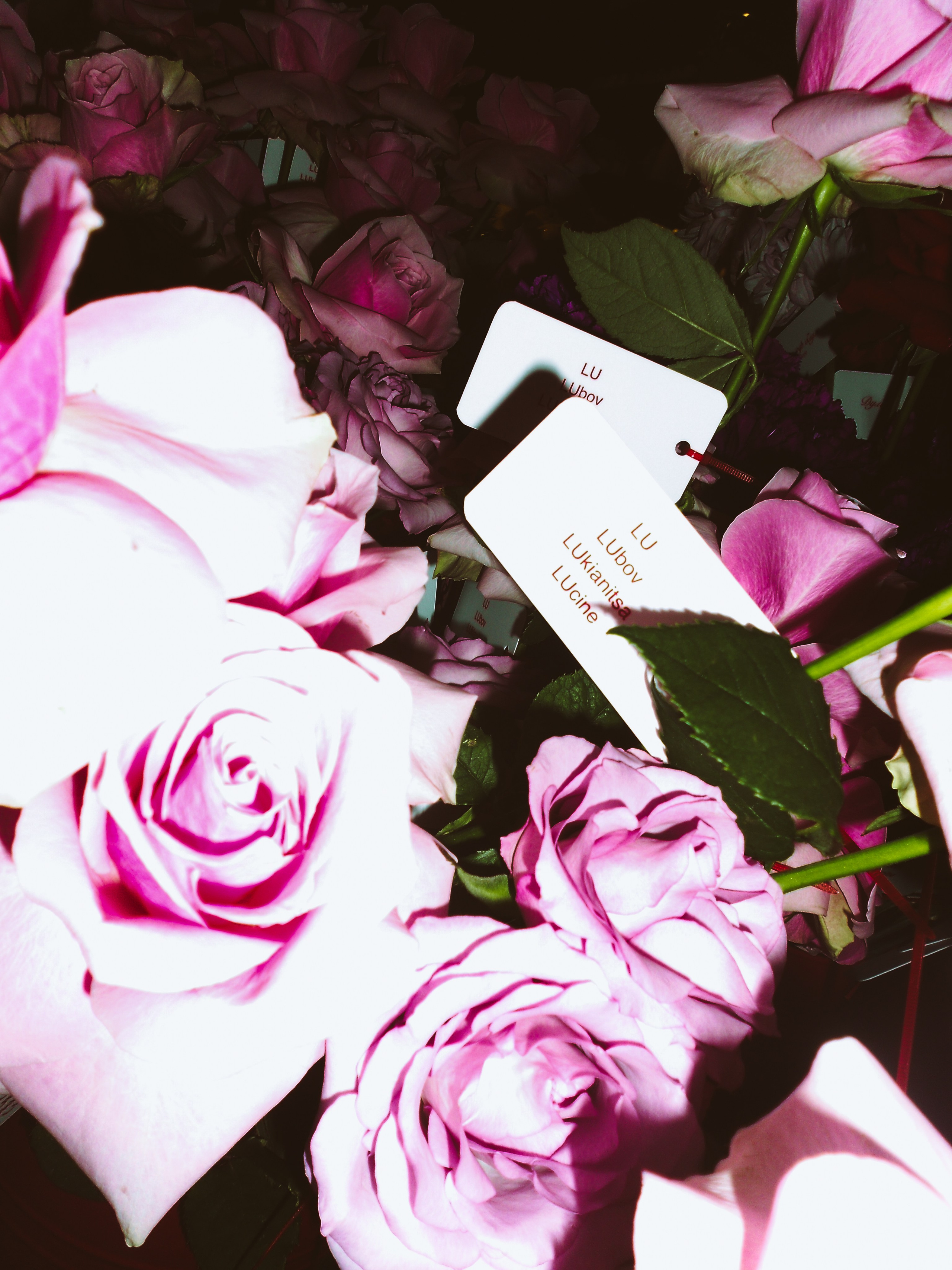 STREET STYLE PARTY. TUTSARKIS — Art Director | Stylist | Photographer