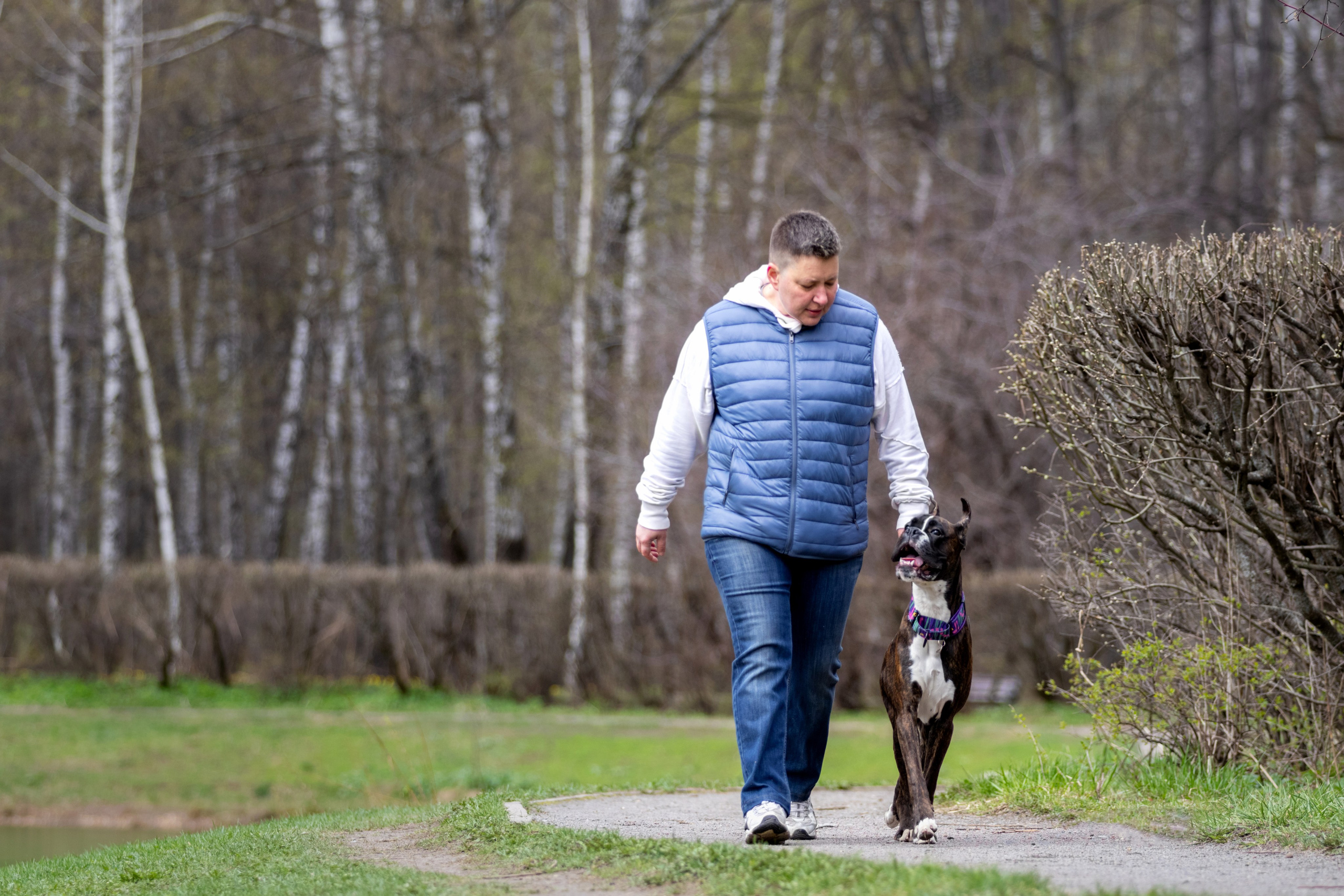 Прогулки. Фотограф — анималист в Москве и области Ольга Петракова