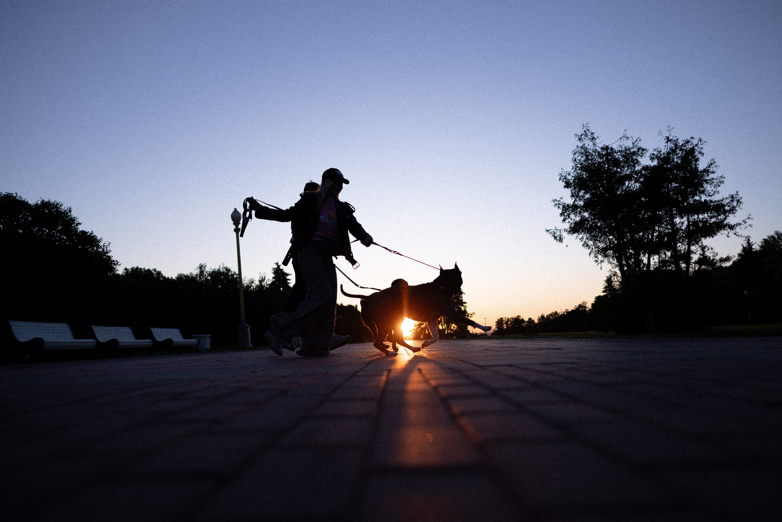 Катя, Леша, Лея и Трой. Фотограф и видеограф анималист Аганина Дарья