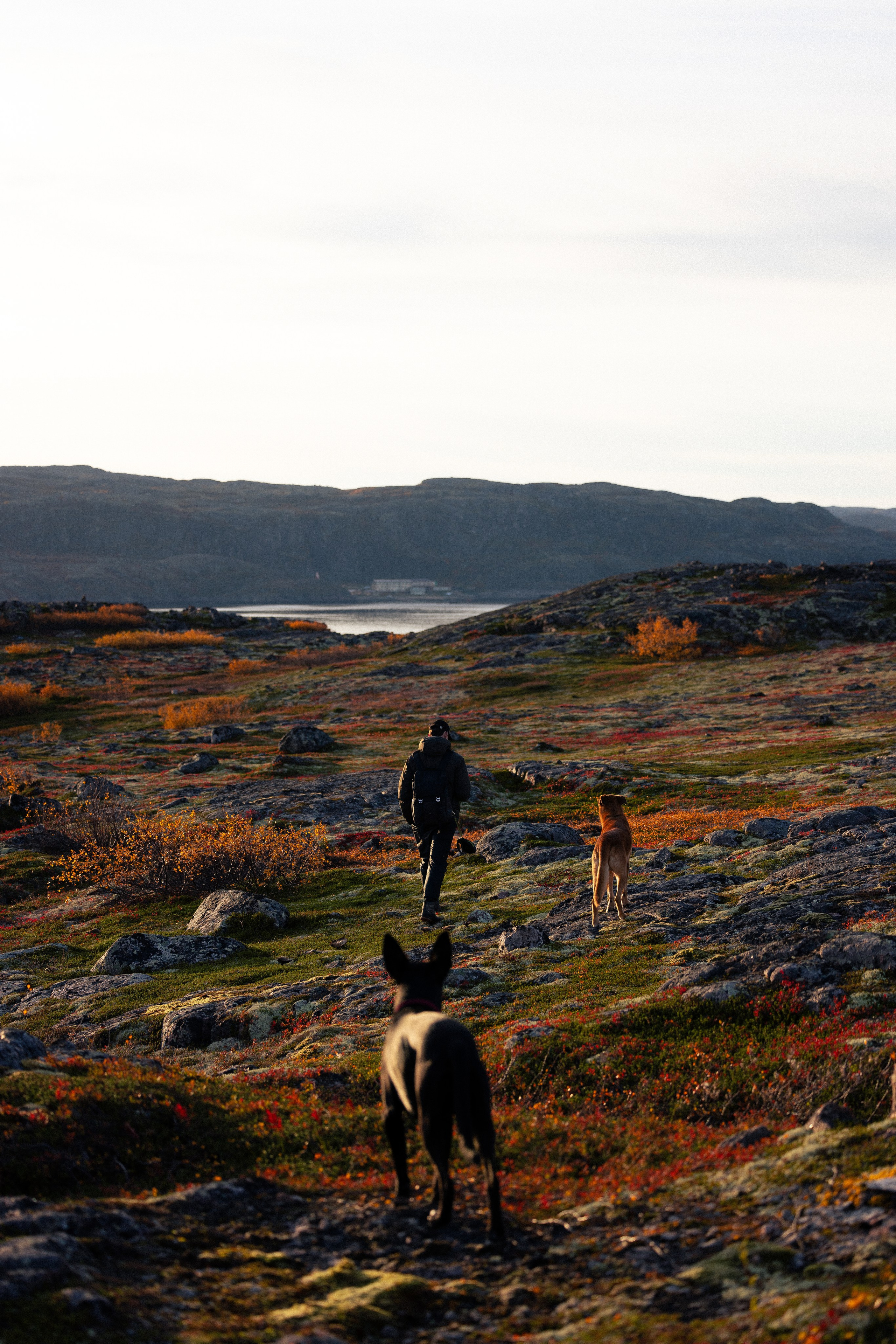 Кольский. Фотограф и видеограф анималист Аганина Дарья