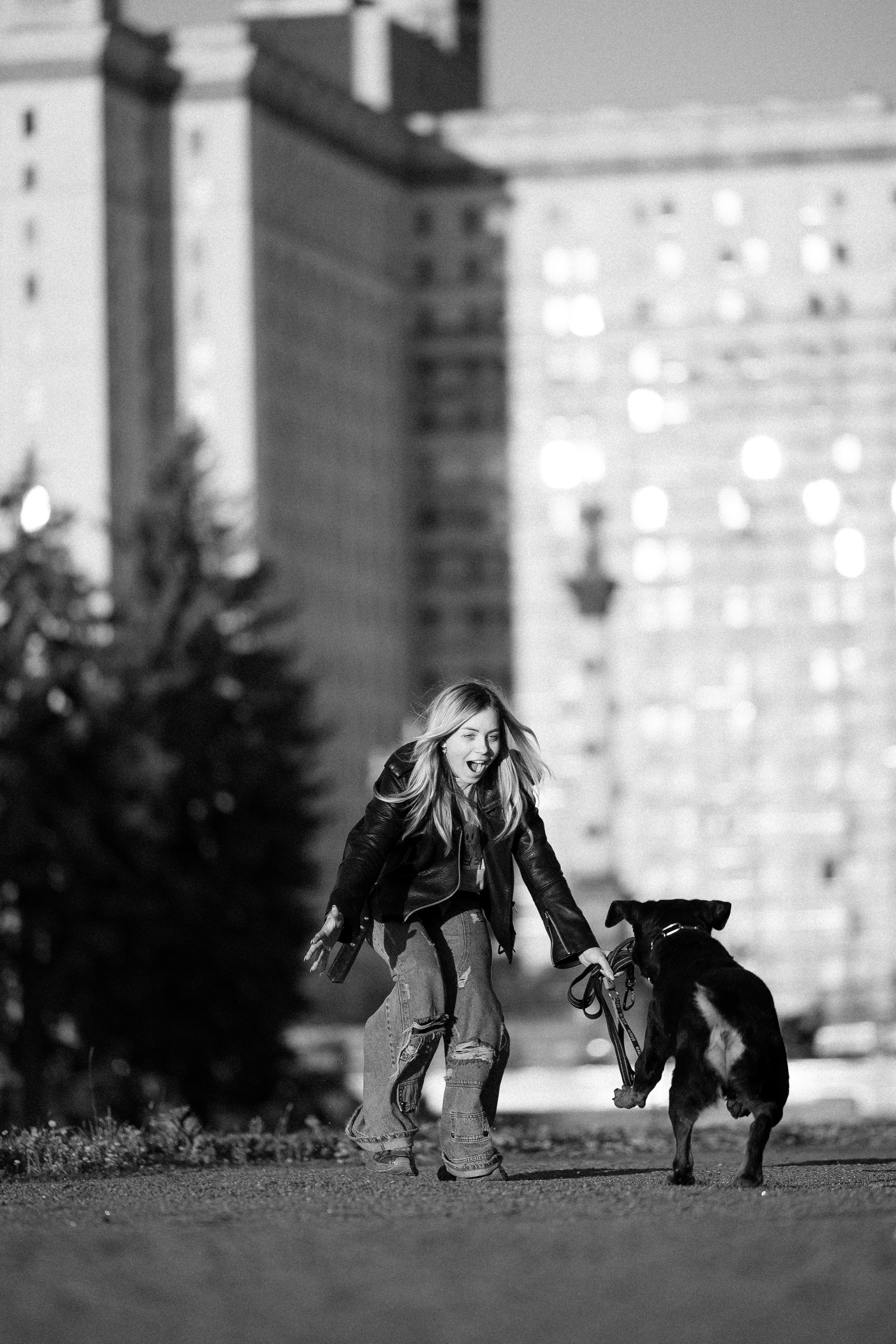 Катя, Леша, Лея и Трой. Фотограф и видеограф анималист Аганина Дарья