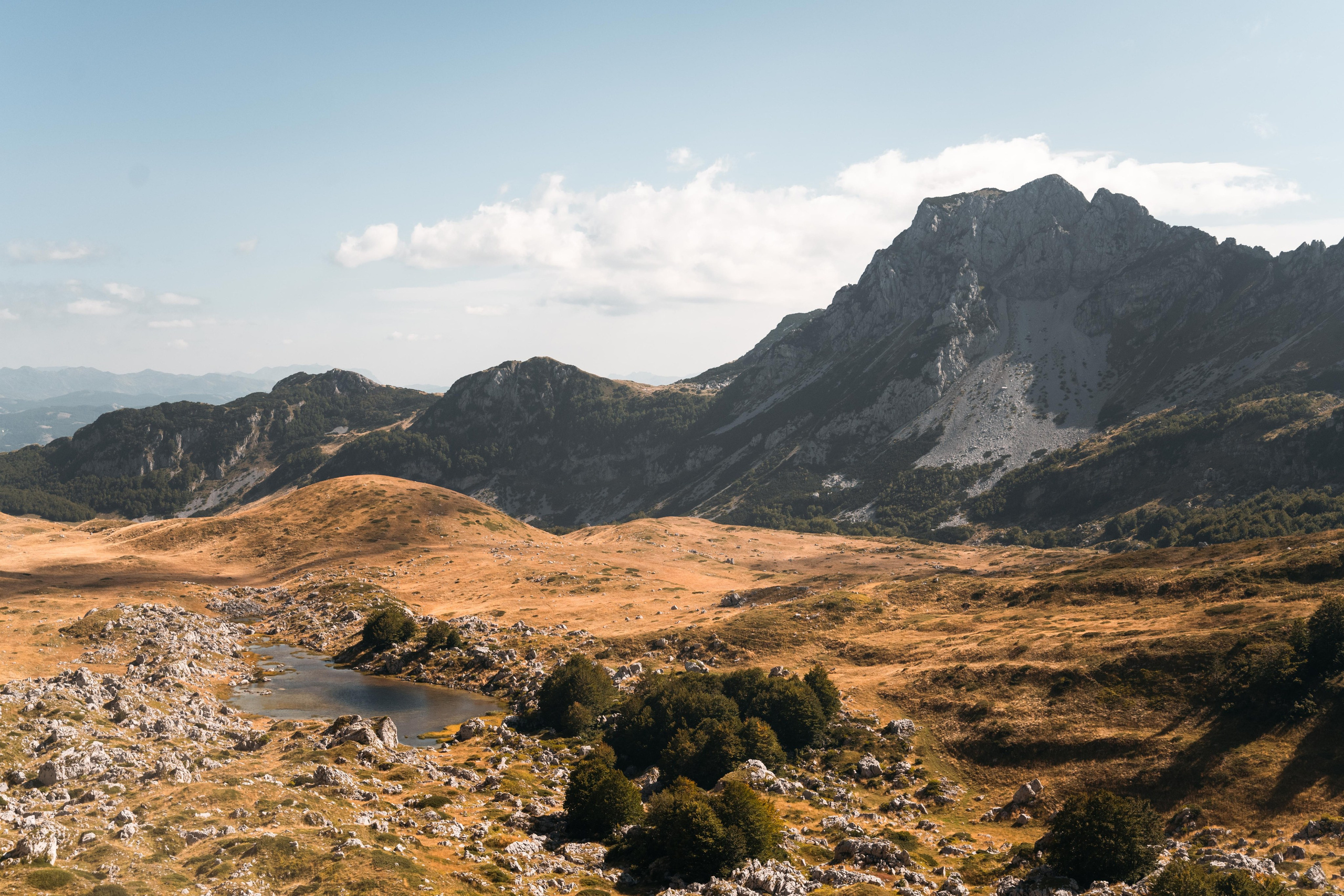 ПРУТАЖ. ЧЕРНОГОРИЯ. Фотограф в Белграде Чугреева Елена