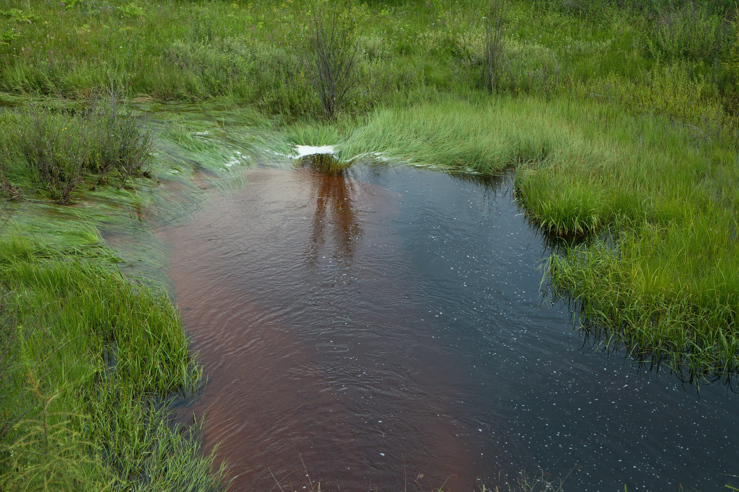 Фото Природы Забайкалья. Студия Максима Белослюдцева