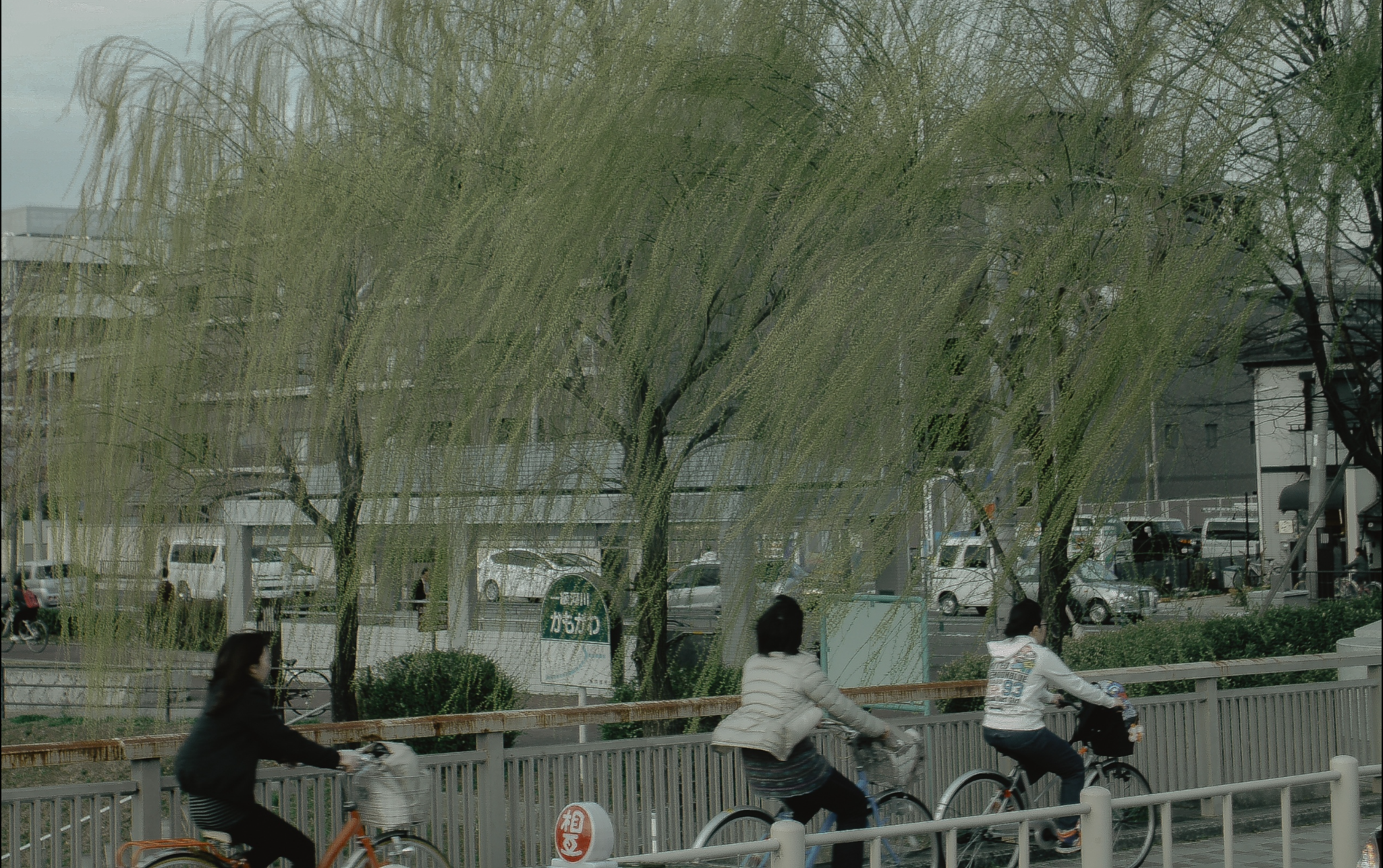 Japan. Фотограф Cyberkyrie