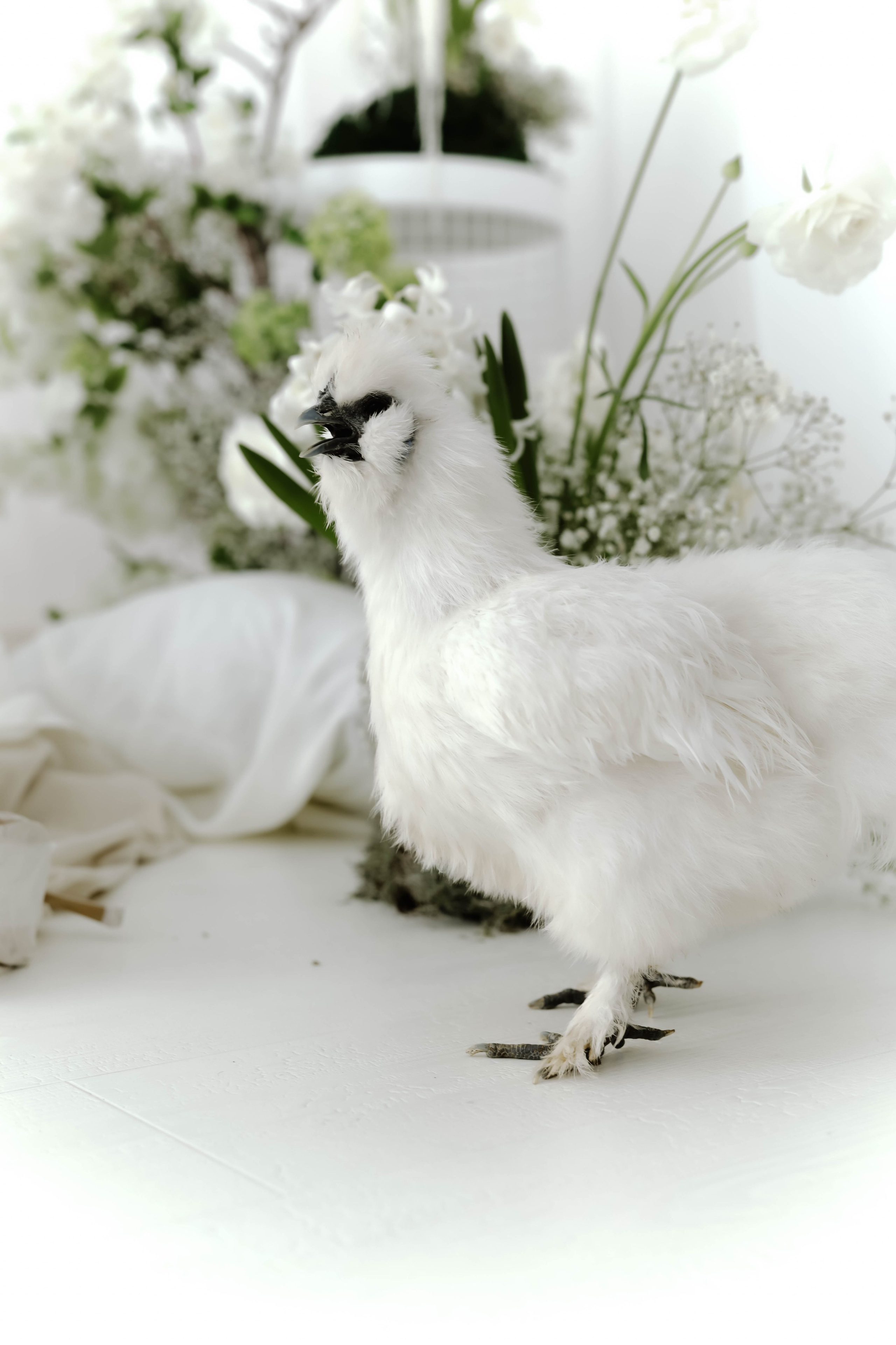 Виктория и Максим.Краснодар. Фотограф Славянск на кубани Краснодар