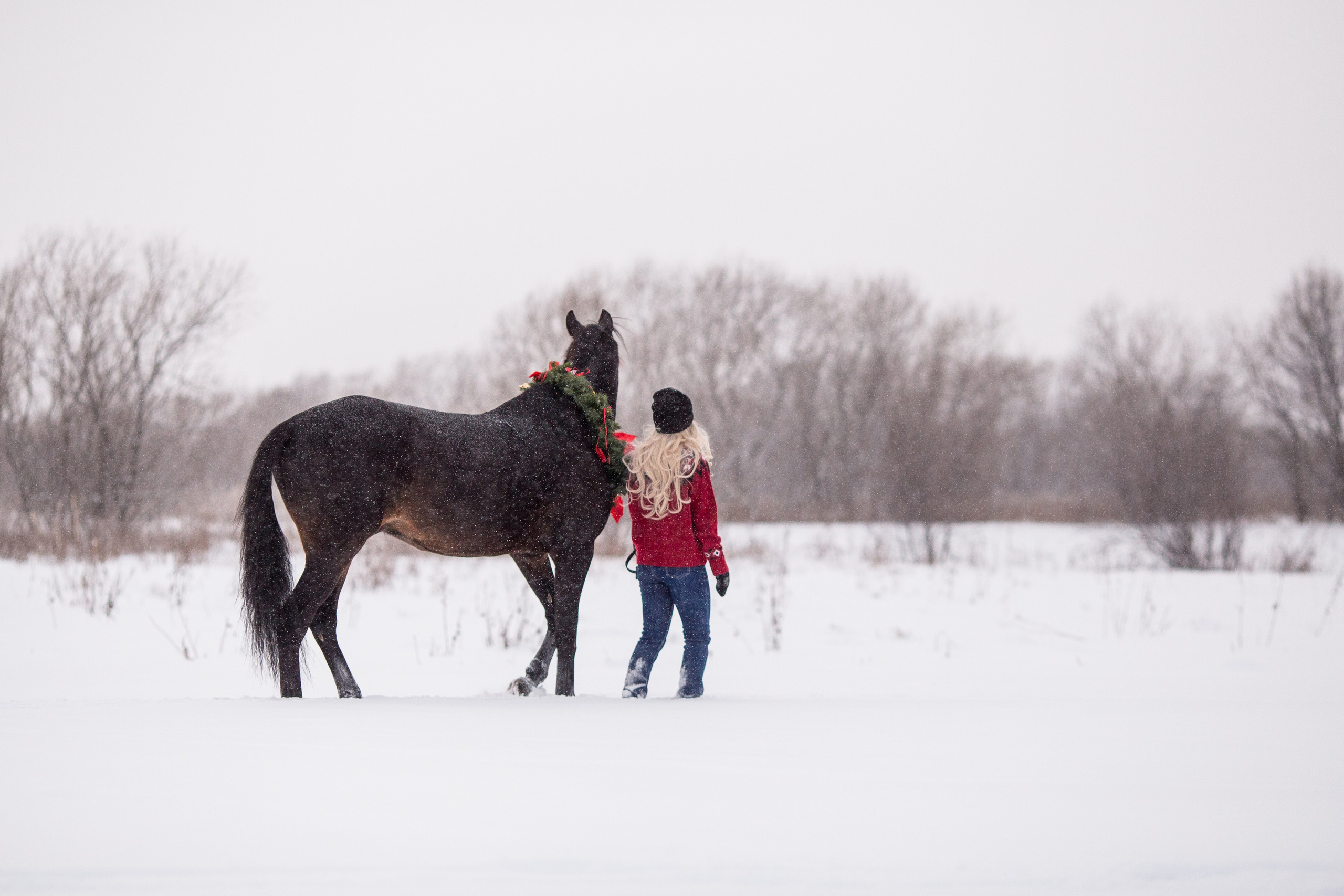 Новогодняя фотосессия с лошадью