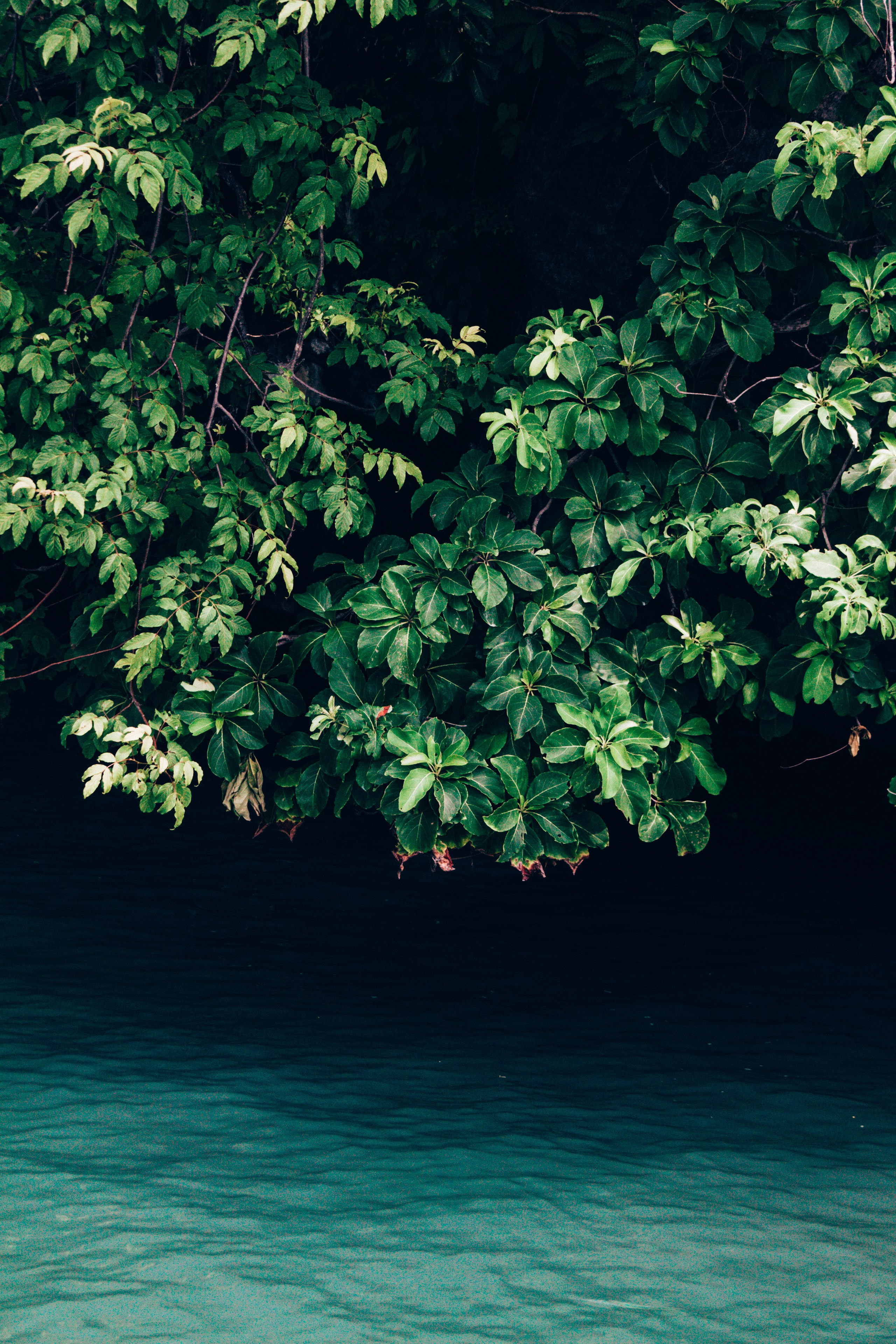 Malaysia. ДарияГалямова — фотограф: открытый, творческий, коммерческий