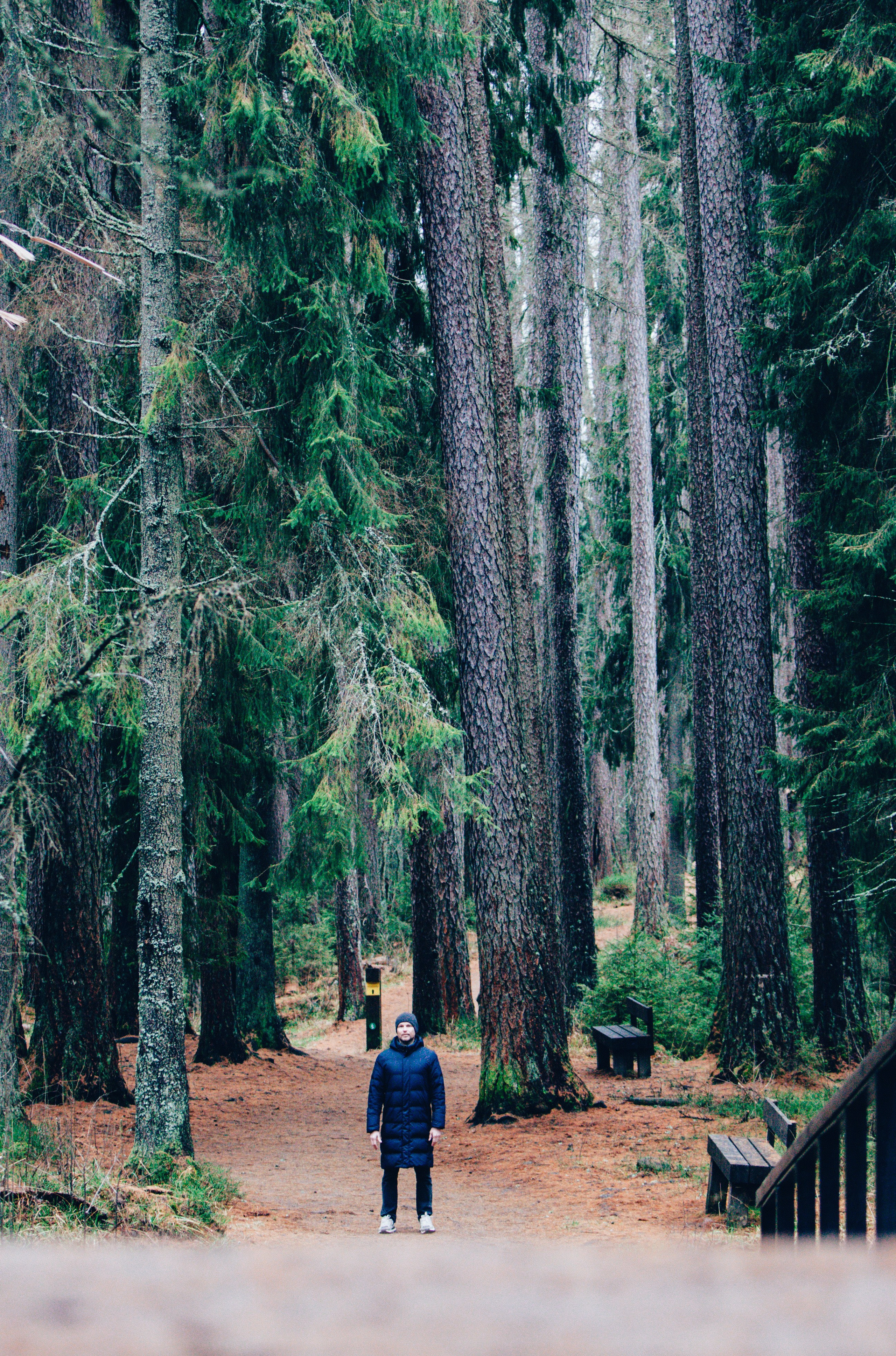 Ноябрь Роща. Дария Галямова — фотограф: открытый, творческий, коммерческий