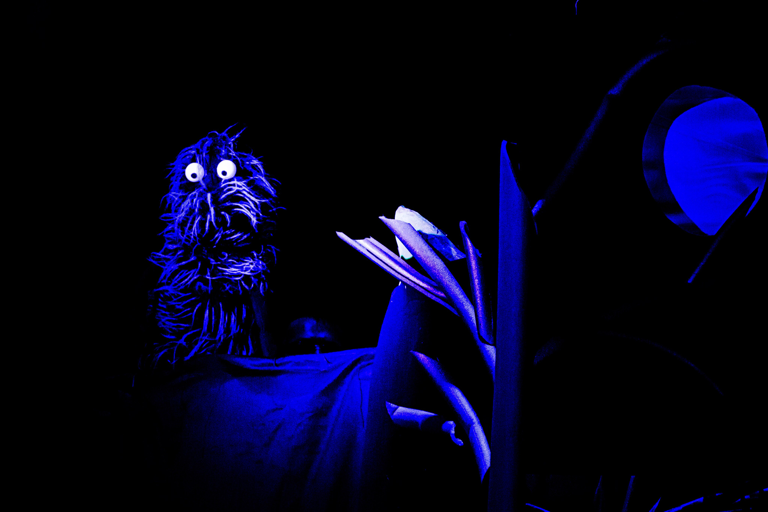 Мумитроли и большое наводнение спектакль театра Саквояж. Фотограф в Сочи Юрий Шептаев