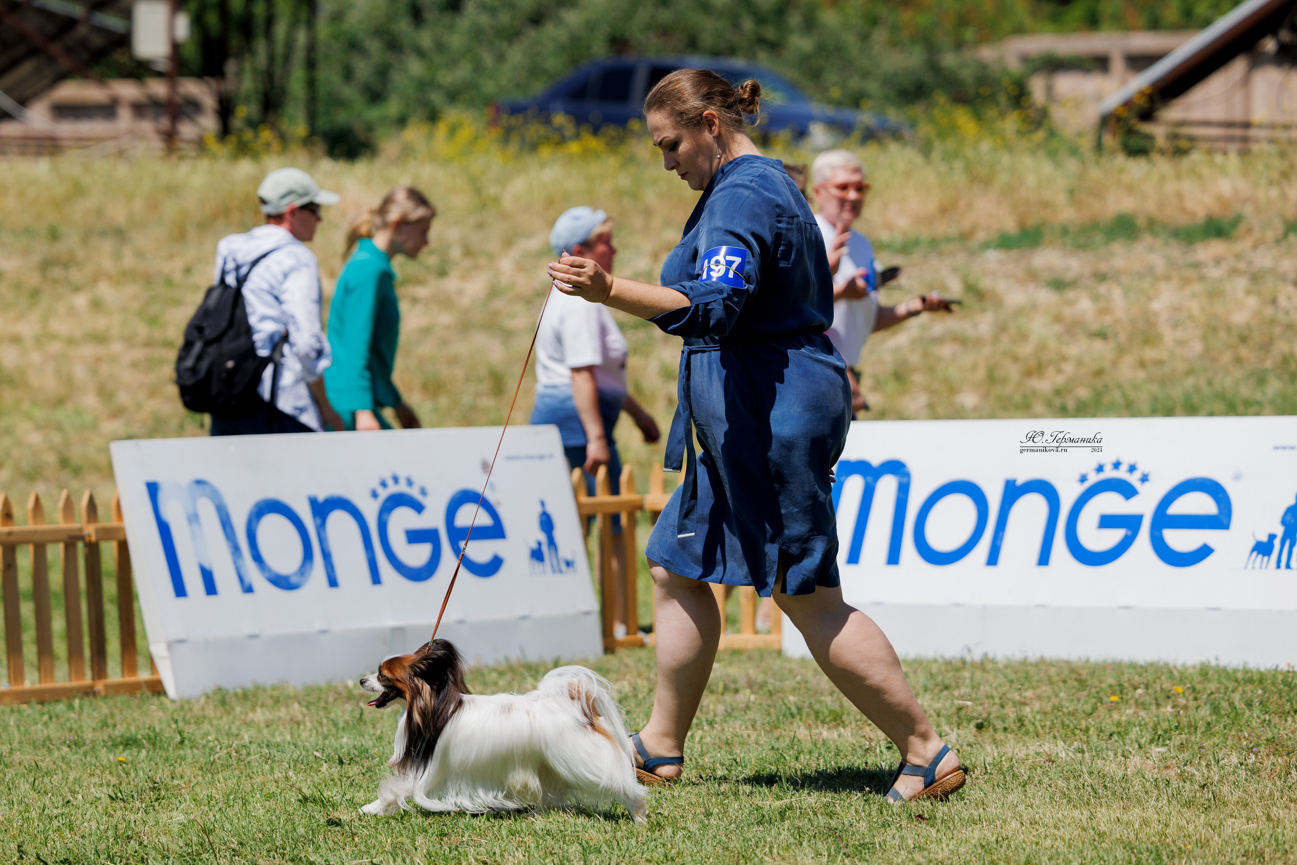 Ереван 3-5.06.2024. Фотограф-анималист Юлия Германика