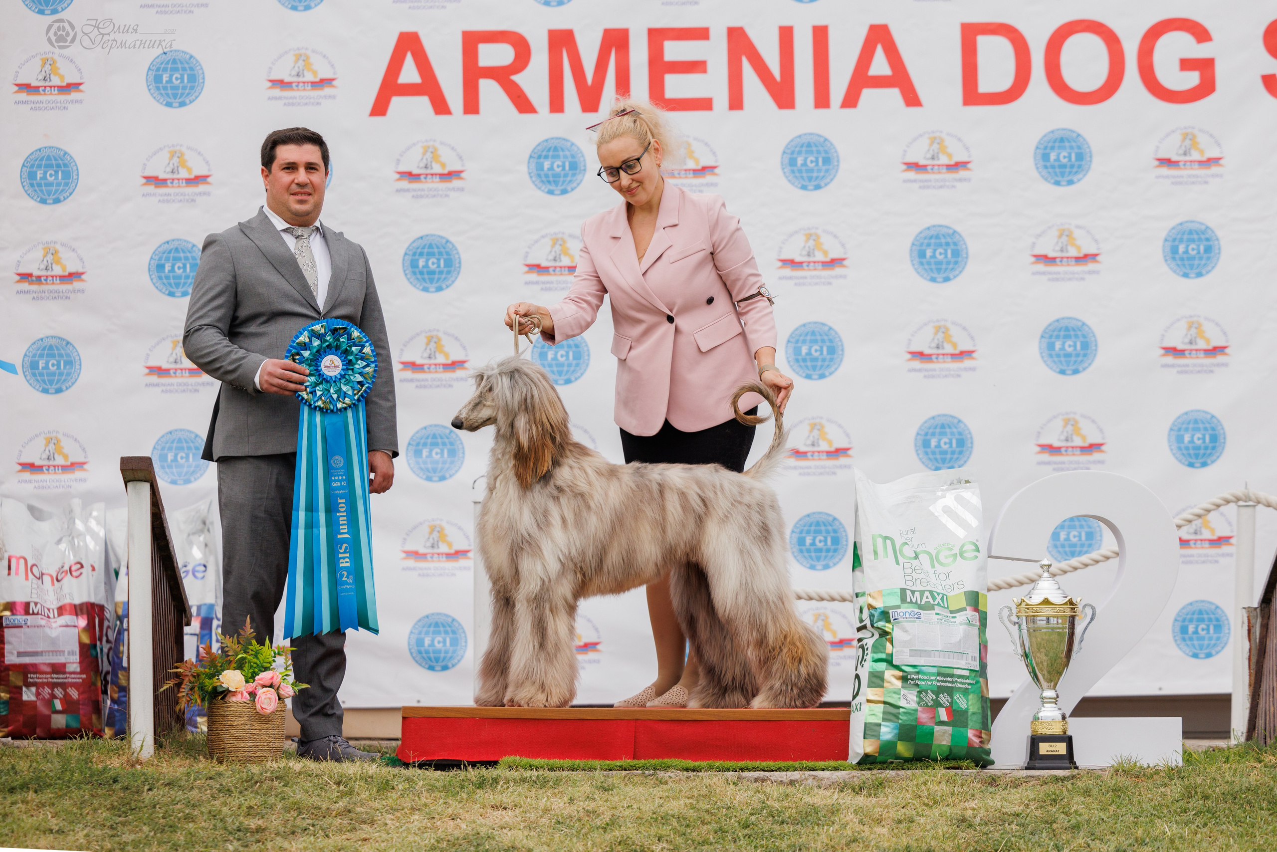 Армения,Ереван 3хCACIB 15-17.10.2024. Фотограф-анималист Юлия Германика