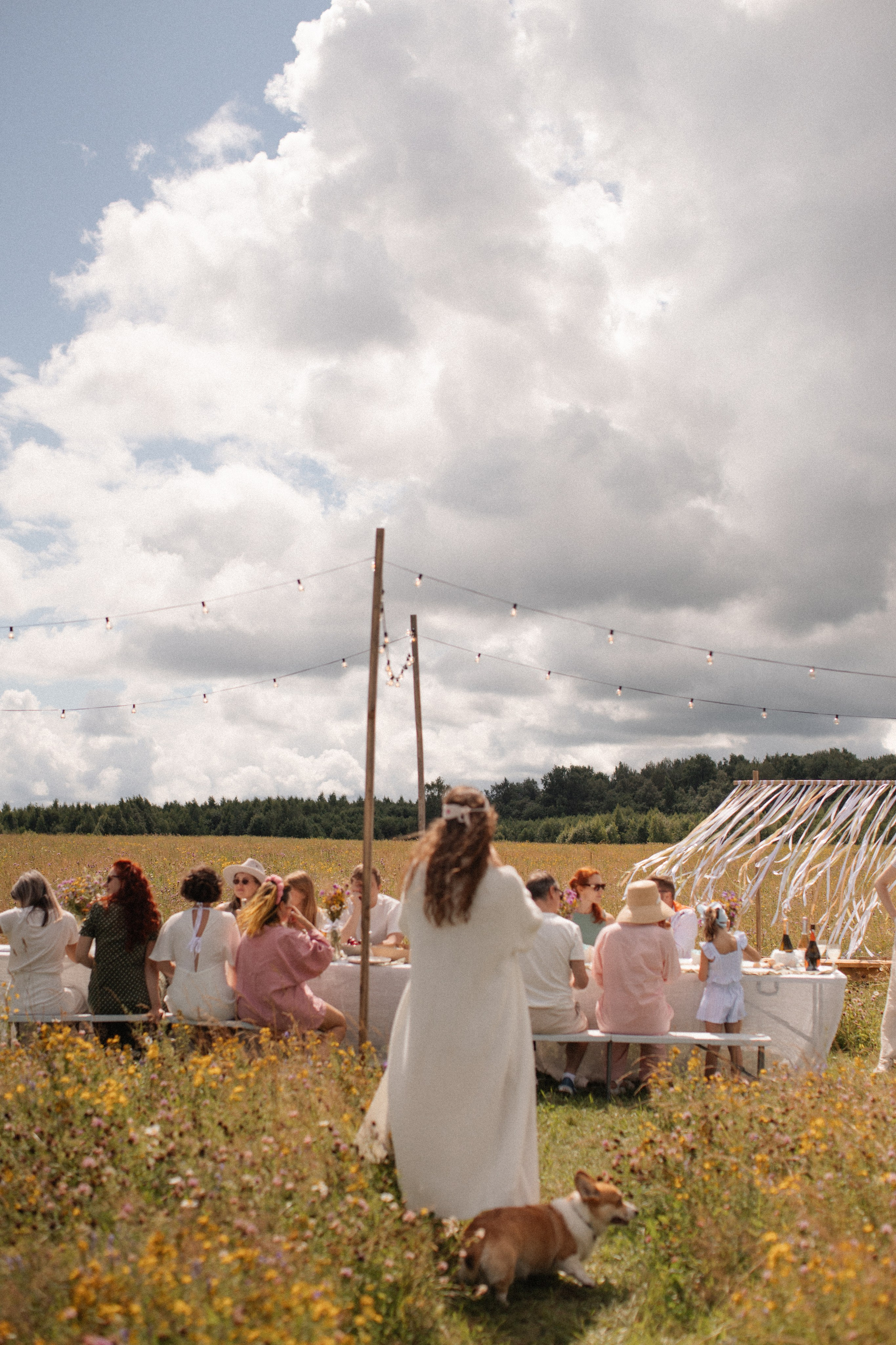 Мероприятия. Честный семейный фотограф