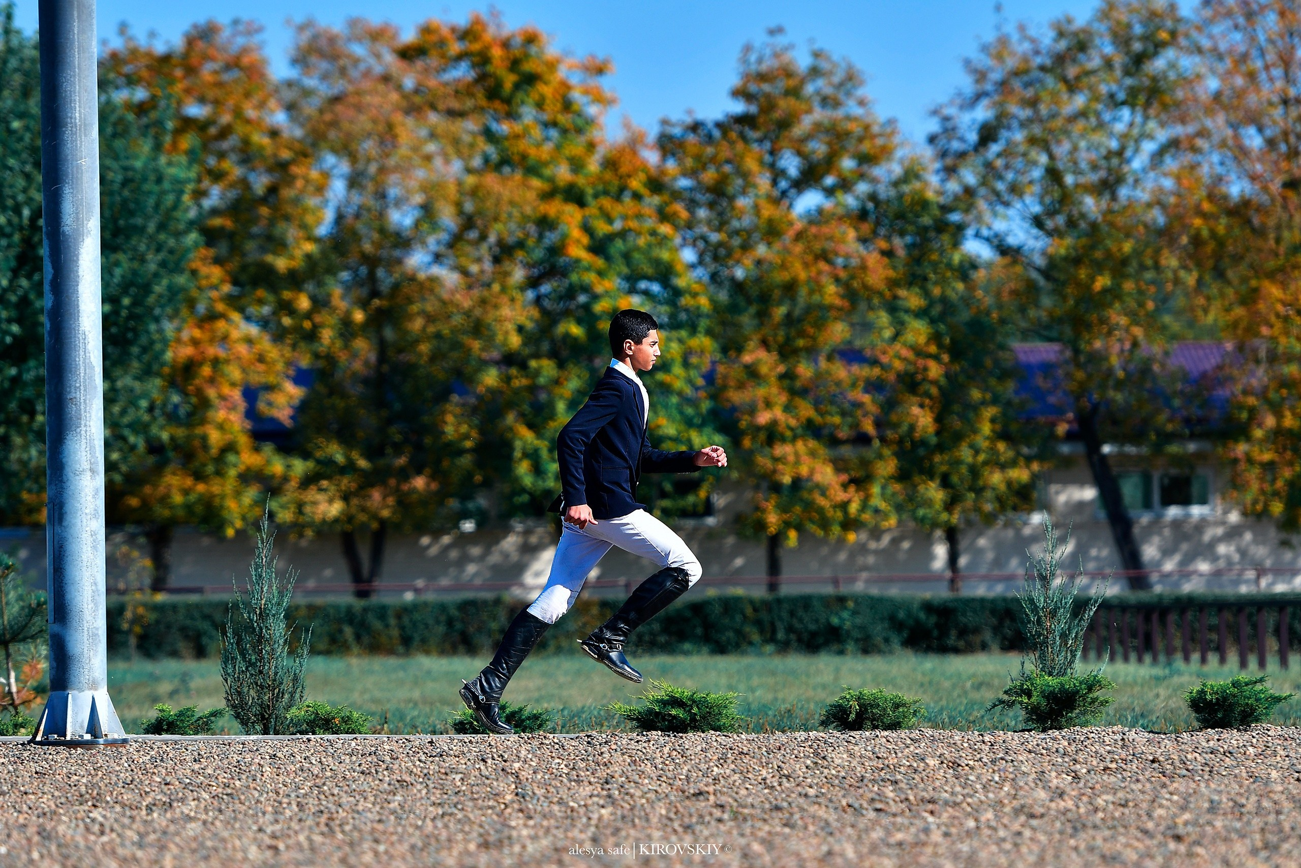 Кировский конный завод. Конный фотограф Alesya Safe