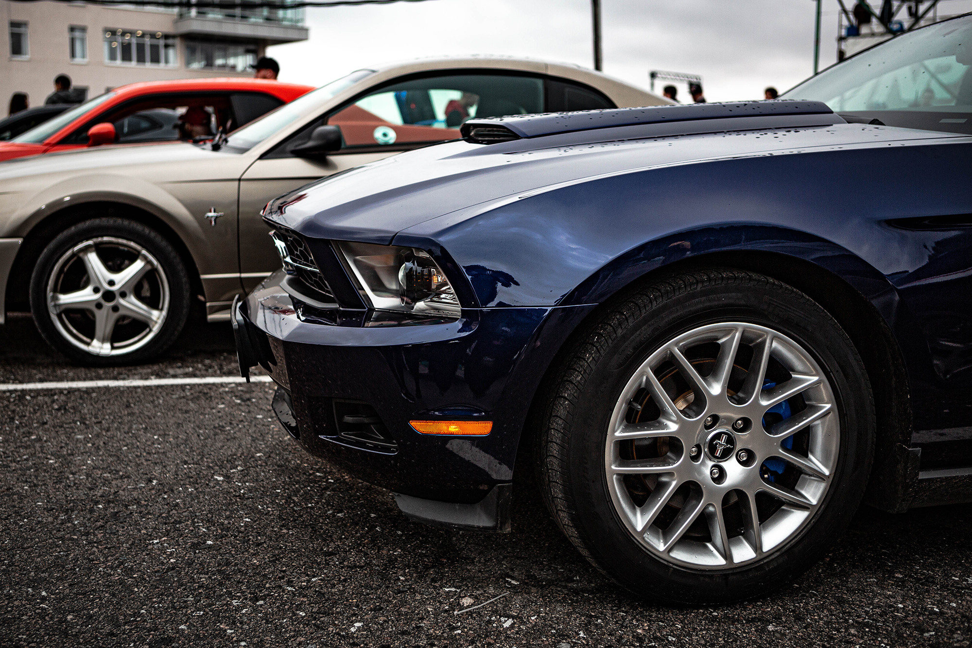 NNring. Фотограф Александра Кузнецова