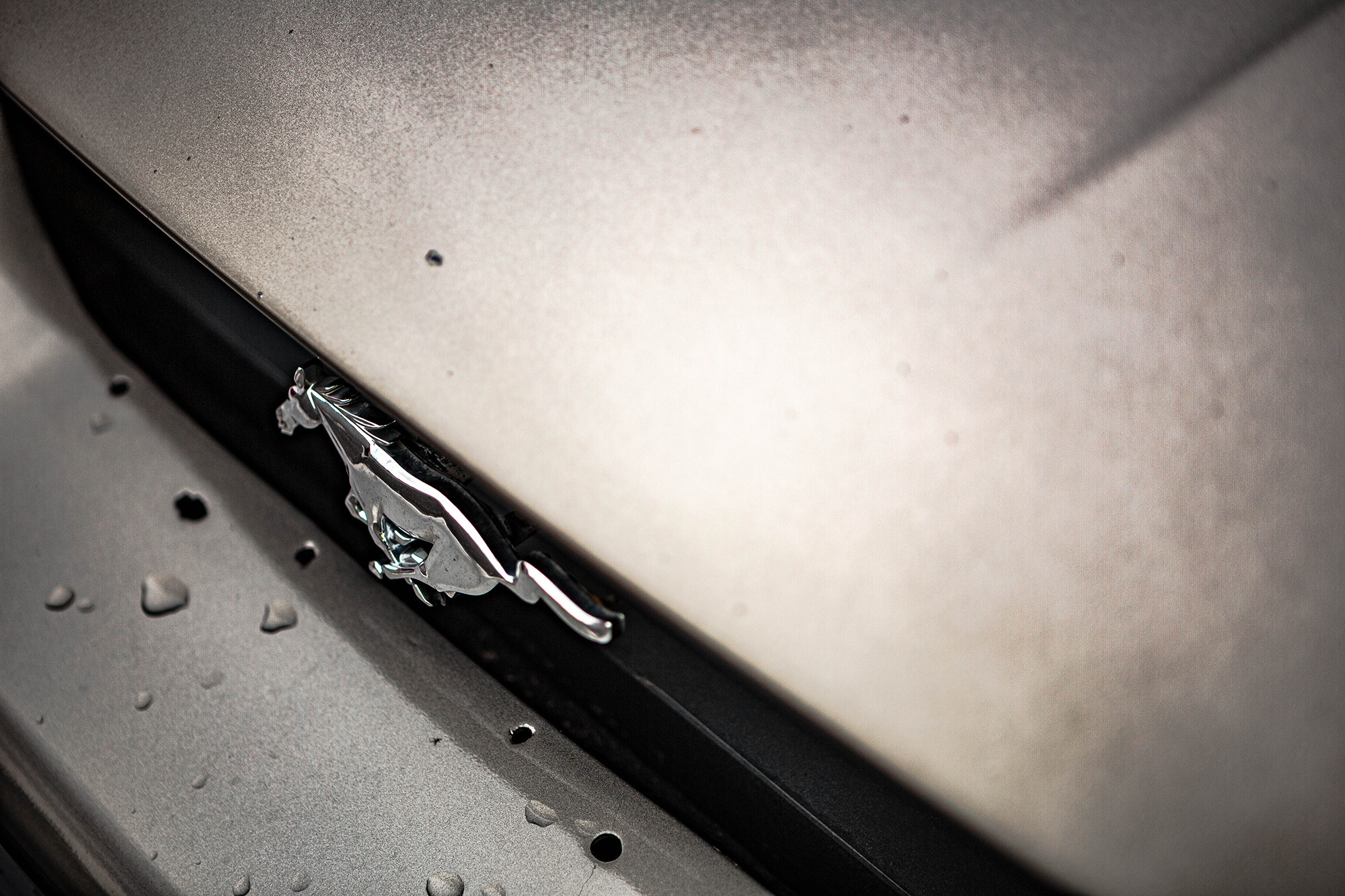 NNring. Фотограф Александра Кузнецова