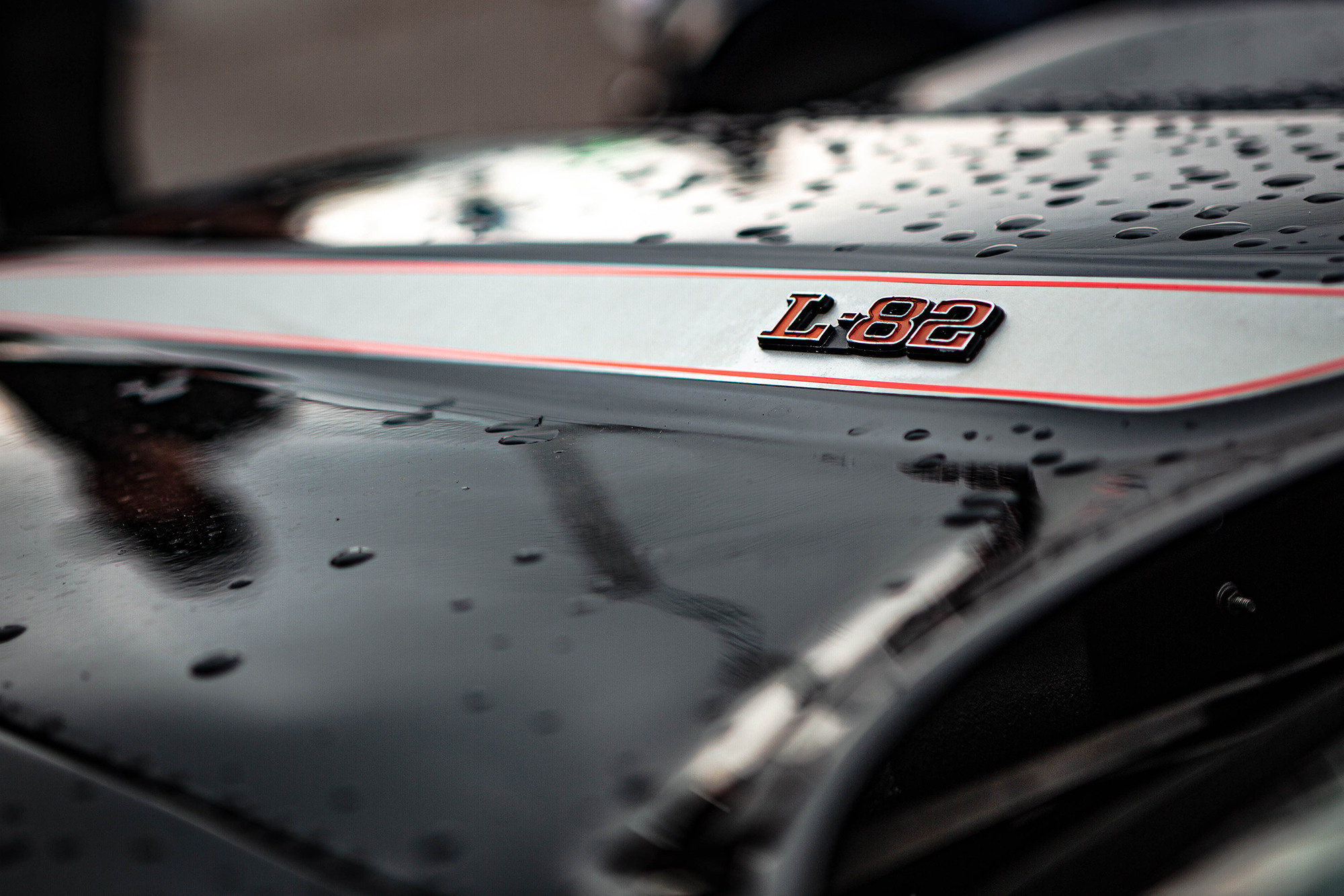 NNring. Фотограф Александра Кузнецова