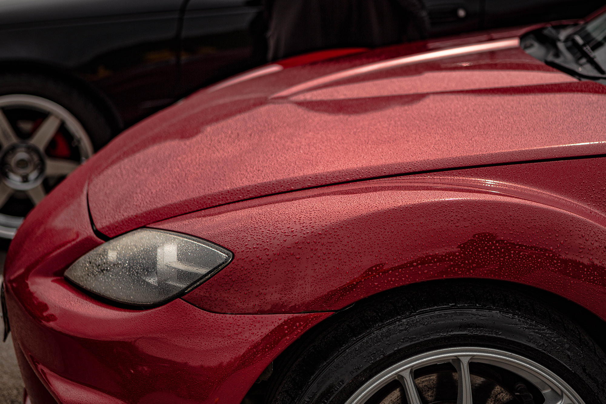 NNring. Фотограф Александра Кузнецова