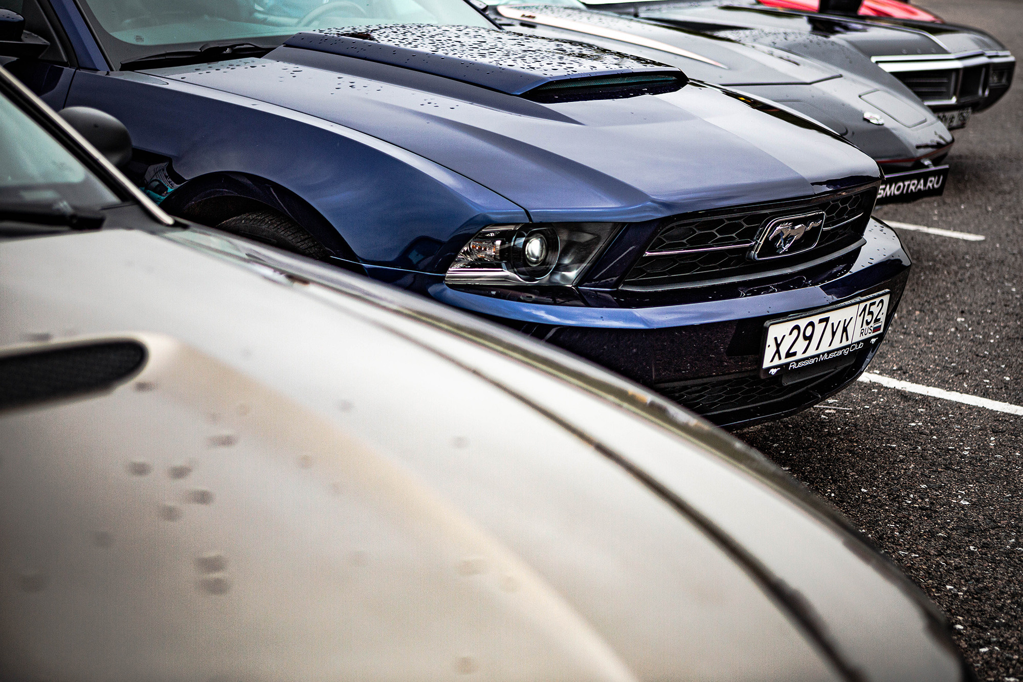 NNring. Фотограф Александра Кузнецова