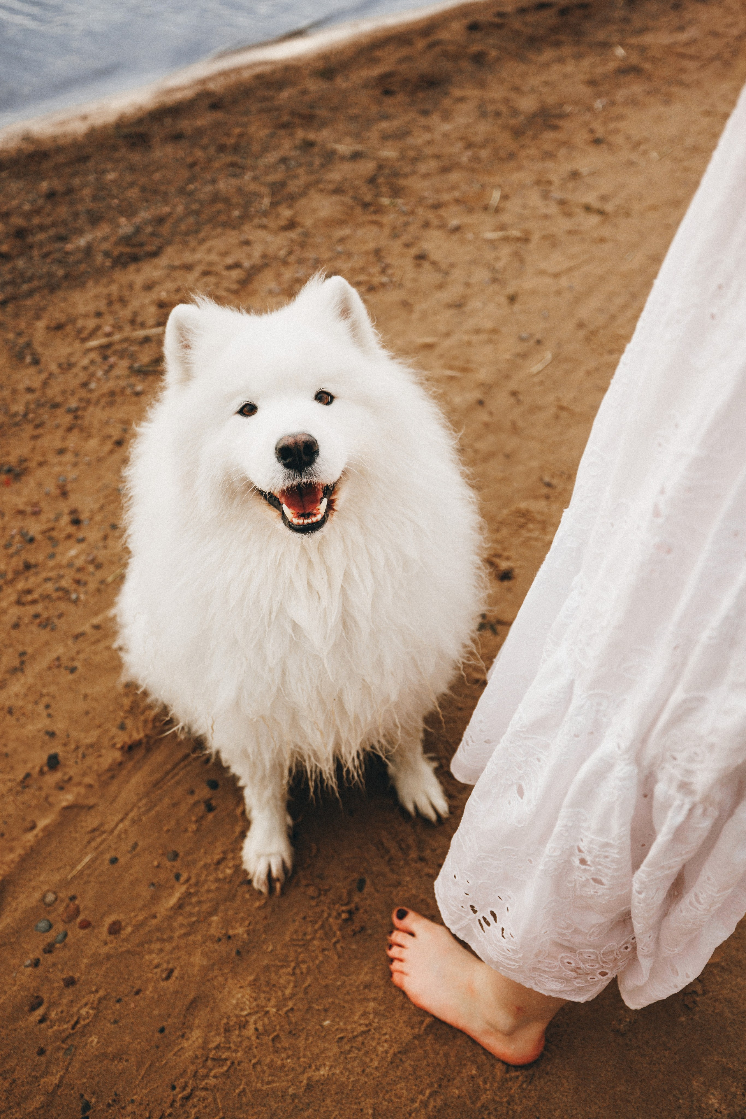 Женя и Цезарь. Фотограф анималист Осипчикова Мария