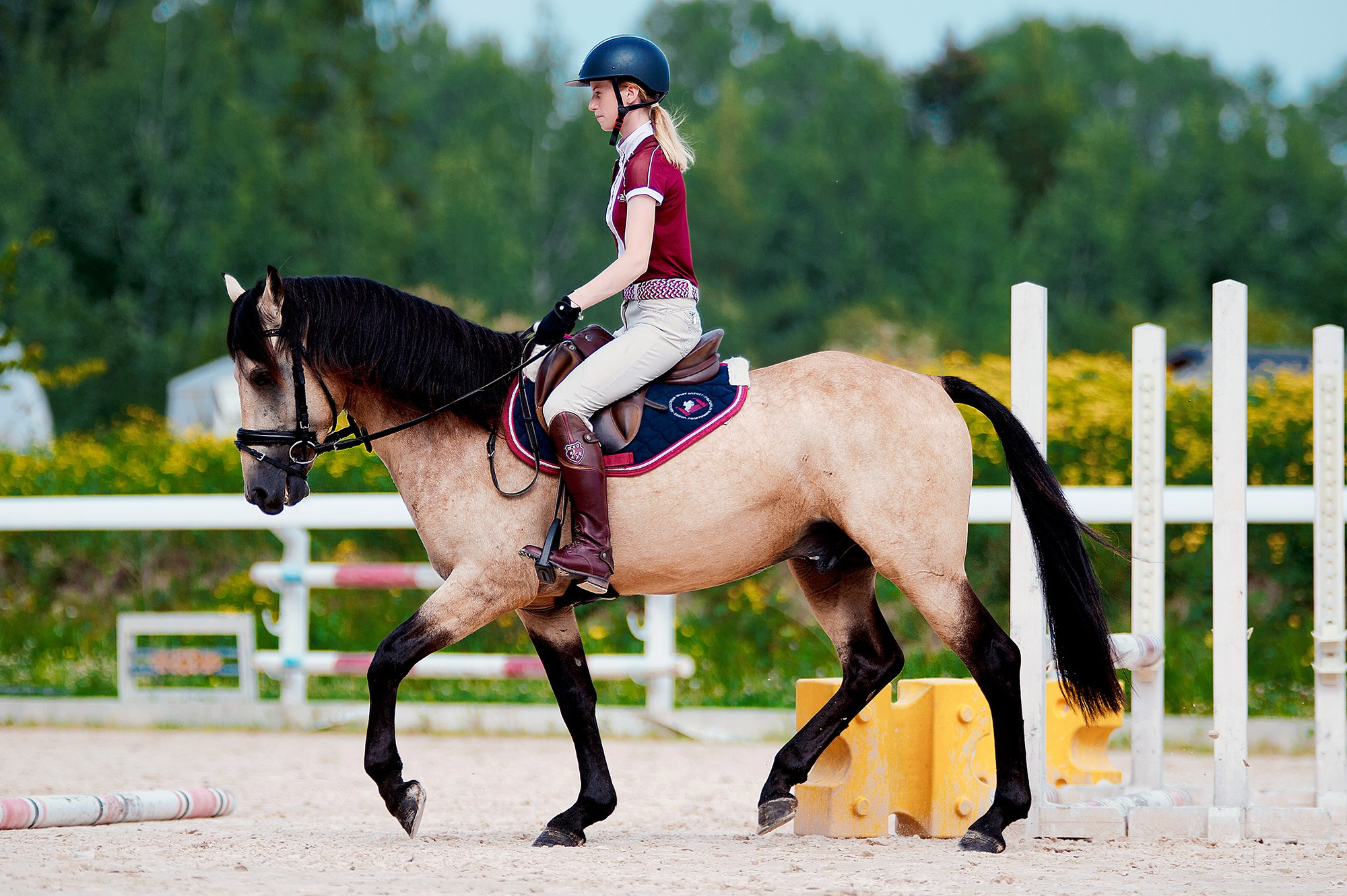 Тренировки. Конный фотограф Alesya Safe