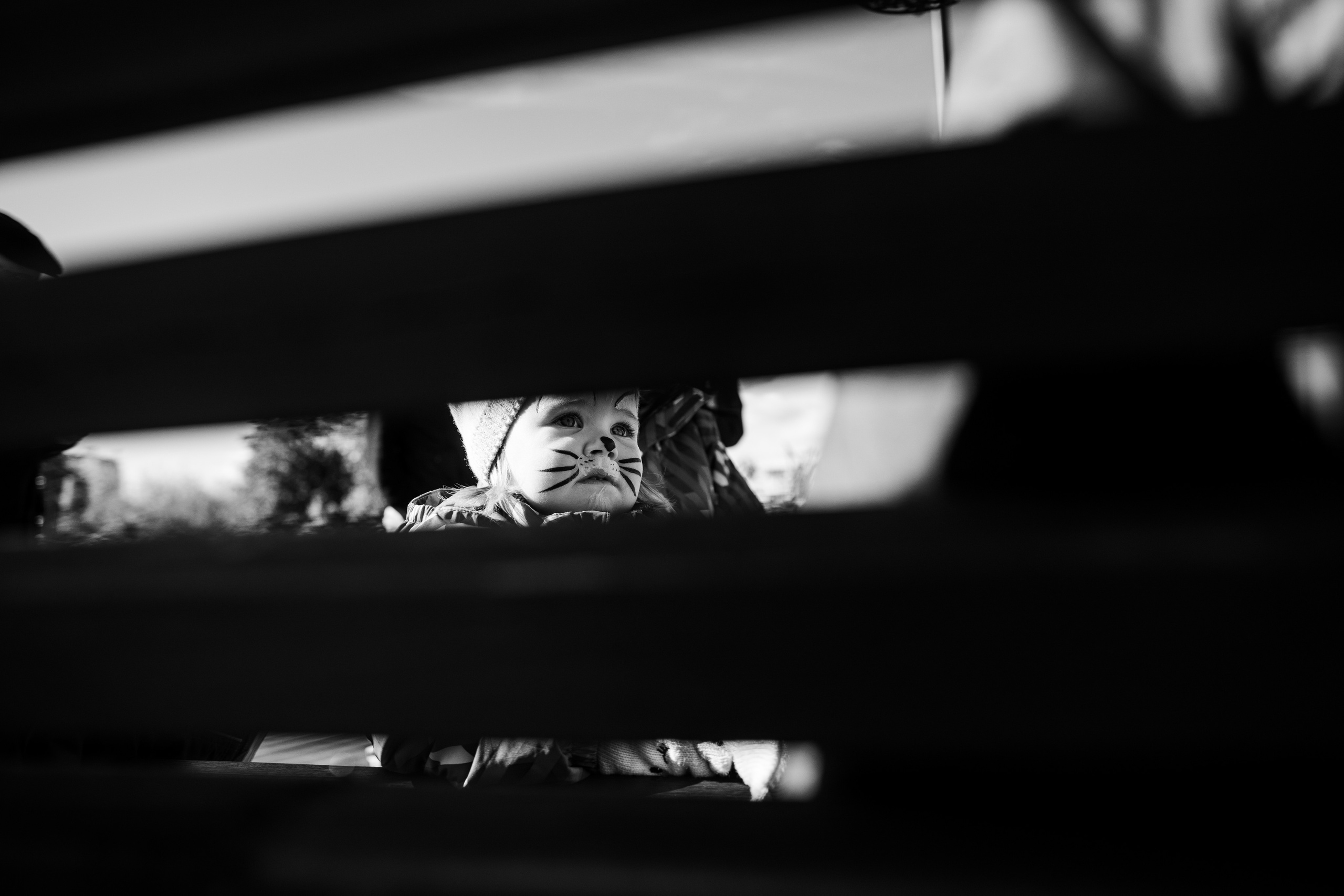 Миланочка, с днем рождения!. Портретный фотограф в Москве и МО Зимина Татьяна