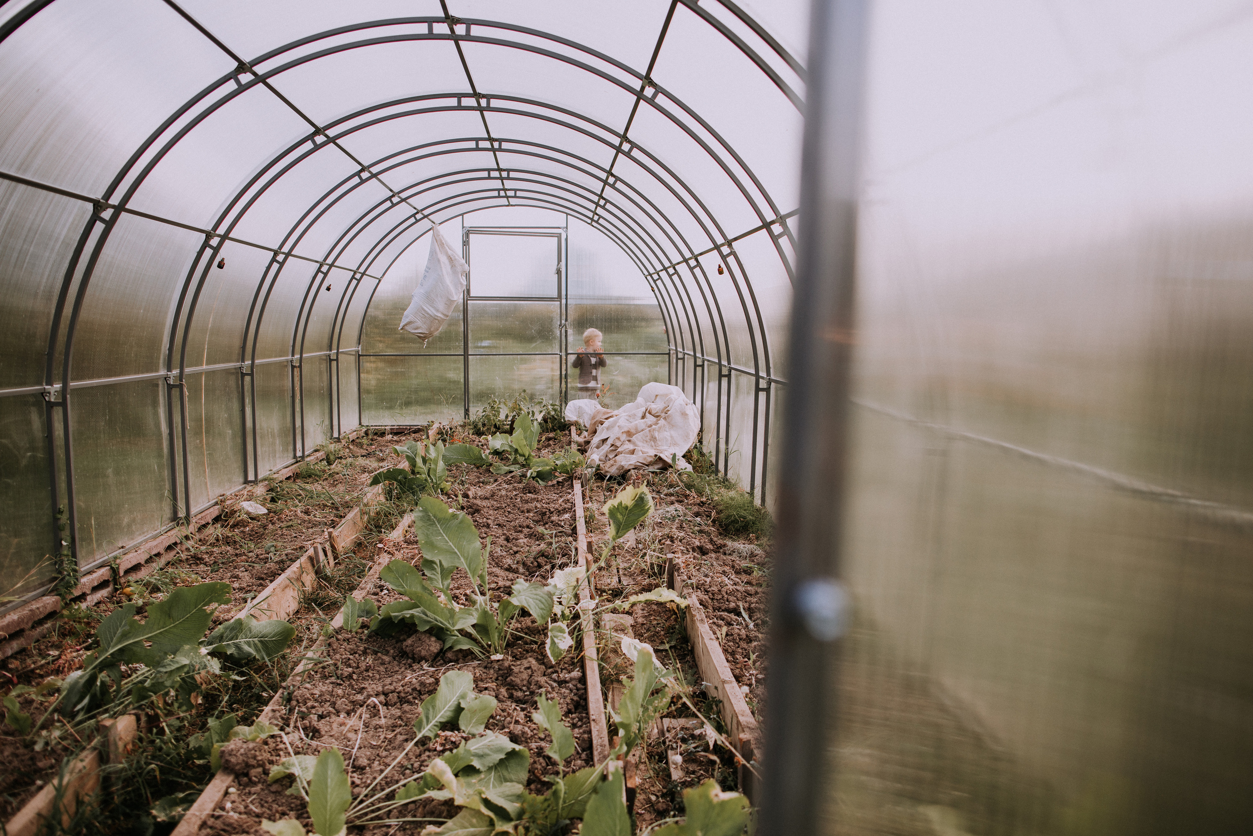 Катюша, с днем рождения!. Портретный фотограф в Москве и МО Зимина Татьяна