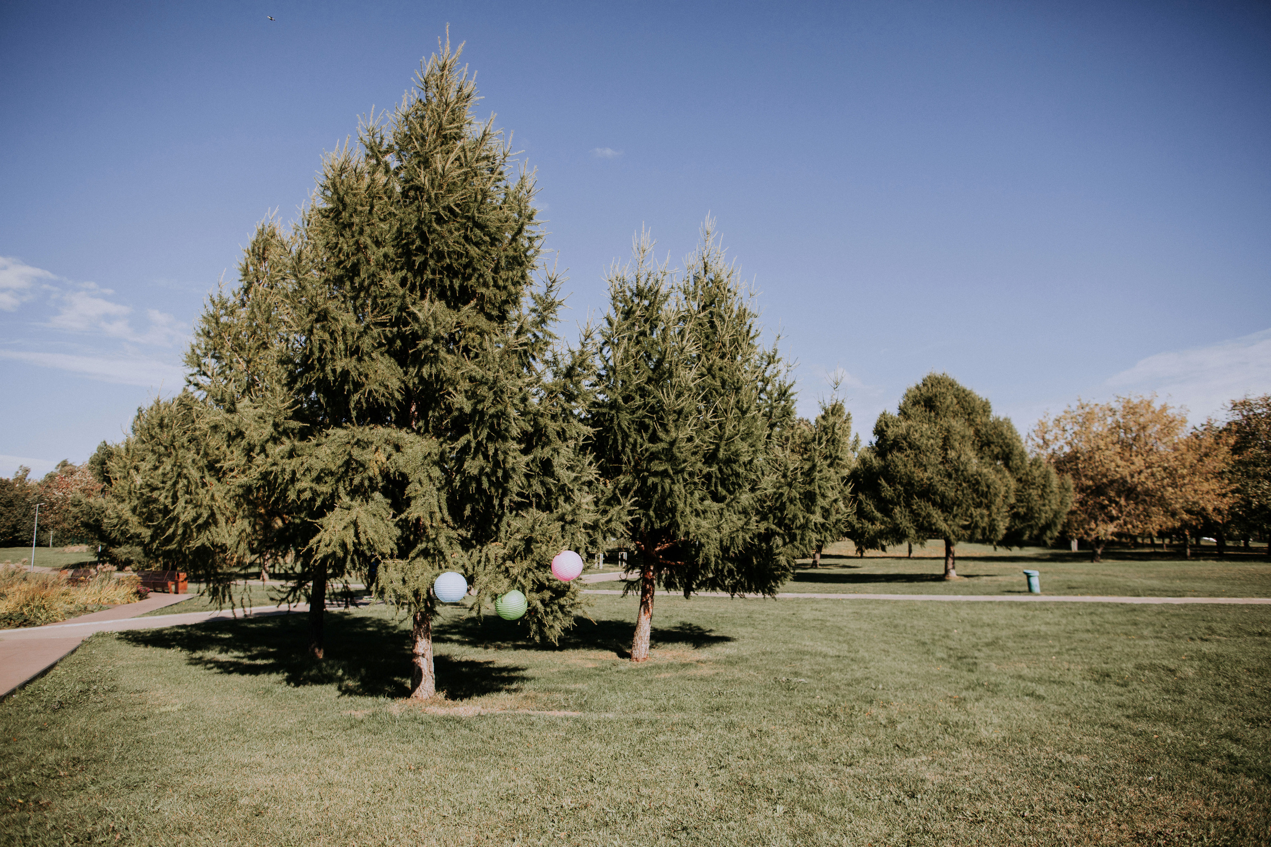 Миланочка, с днем рождения!. Портретный фотограф в Москве и МО Зимина Татьяна