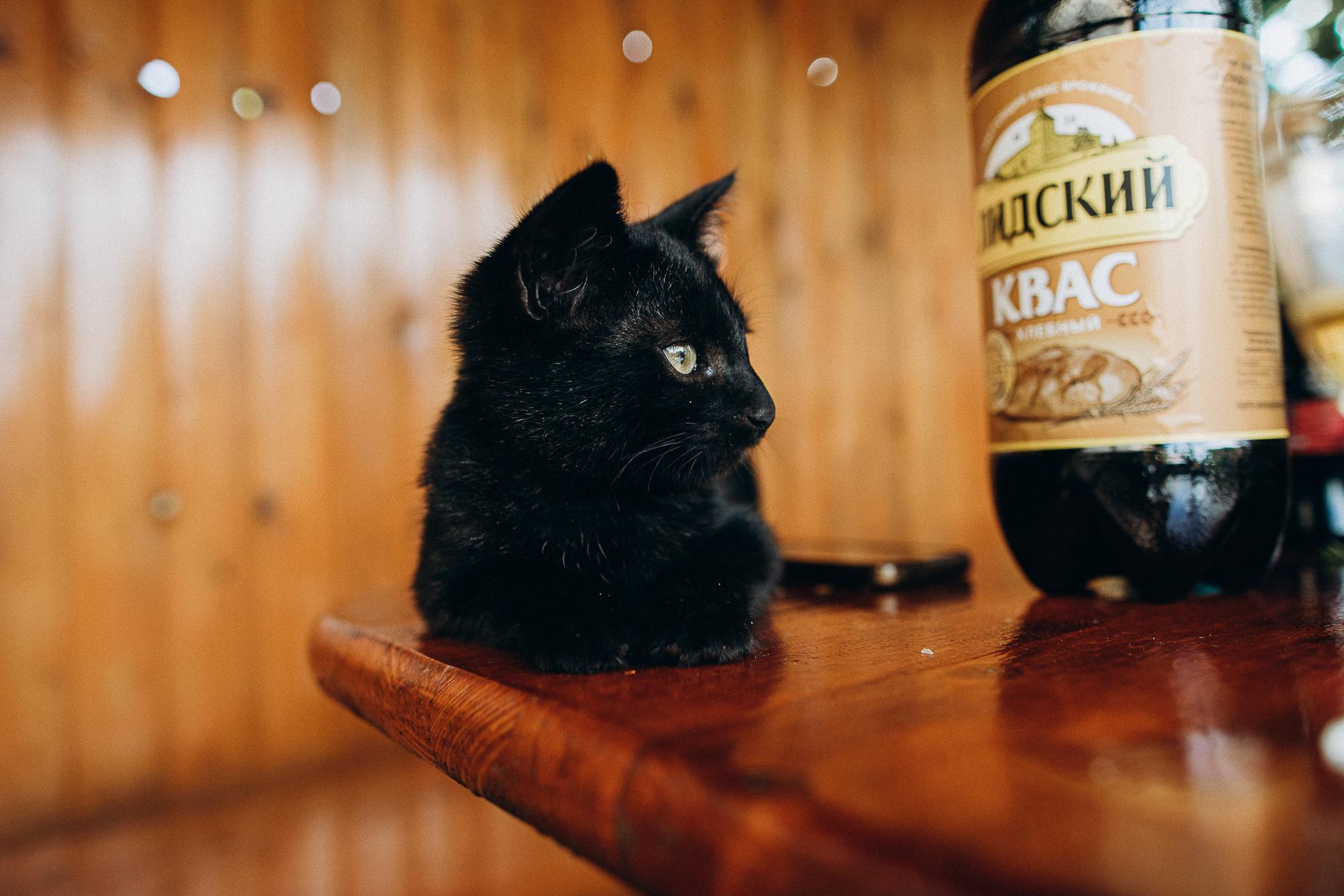 Паша, с днем рождения!. Портретный фотограф в Москве и МО Зимина Татьяна