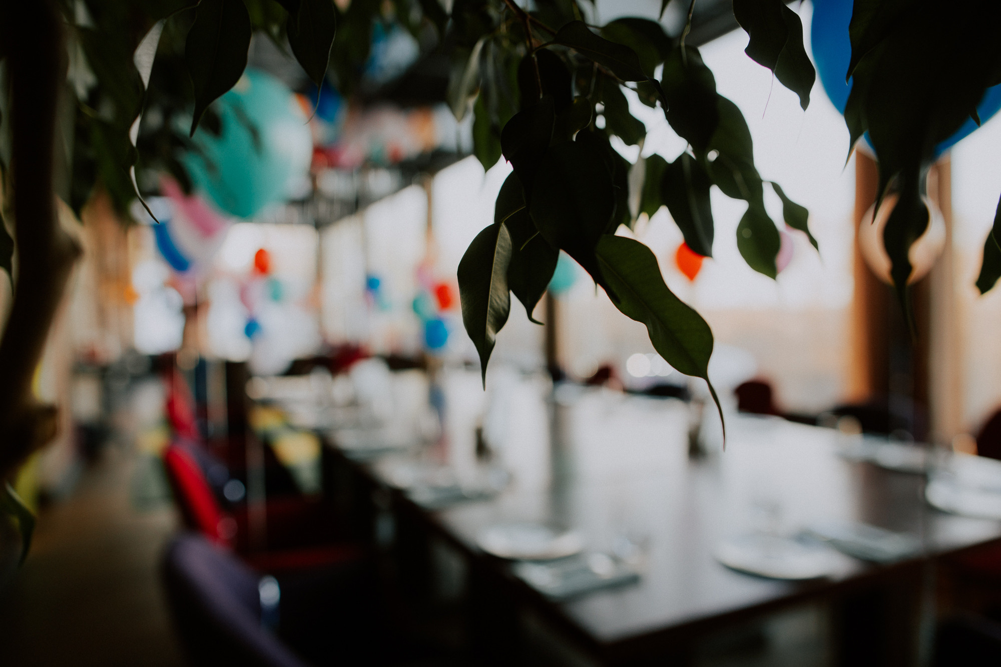 День рождения Вита. Портретный фотограф в Москве и МО Зимина Татьяна