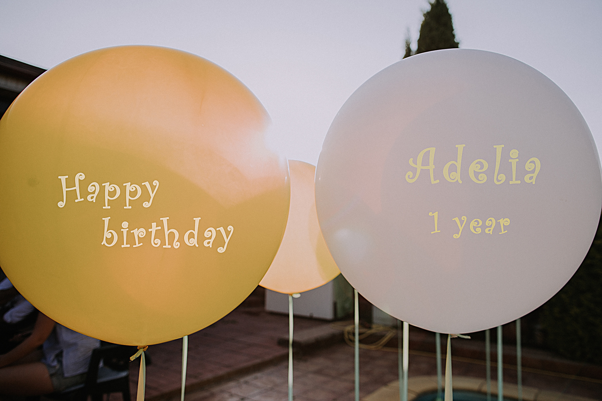 Аделия 1 год. Портретный фотограф в Москве и МО Зимина Татьяна