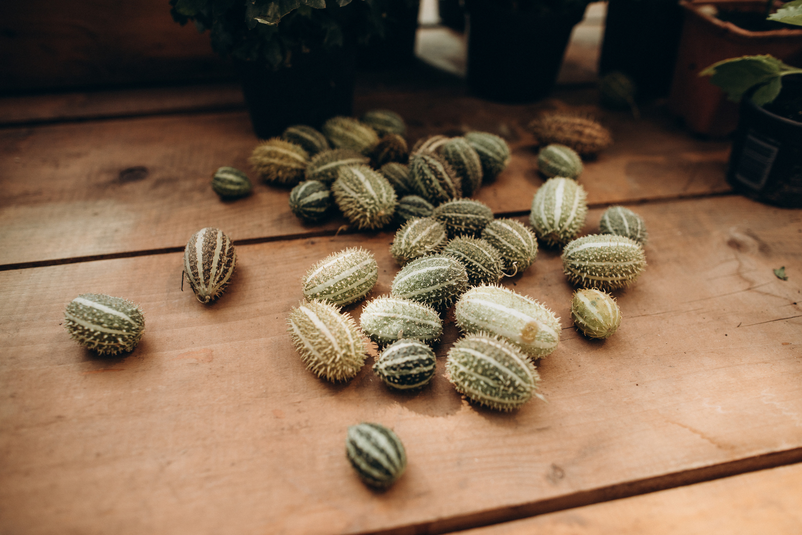 Даня + Саша. Портретный фотограф в Москве и МО Зимина Татьяна