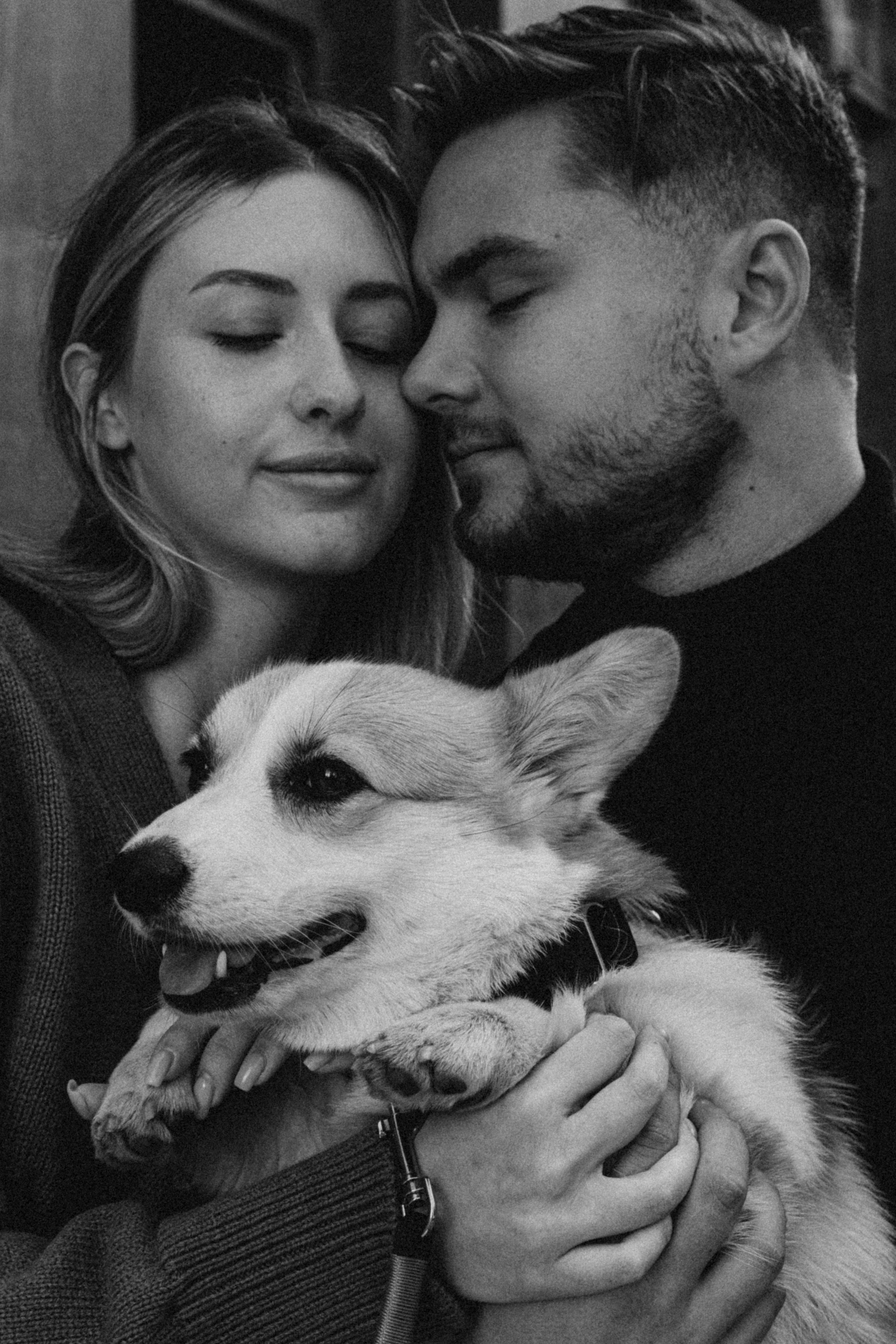 Даша, Рома и Лесли. Фотораф — анималист Мария Шистка