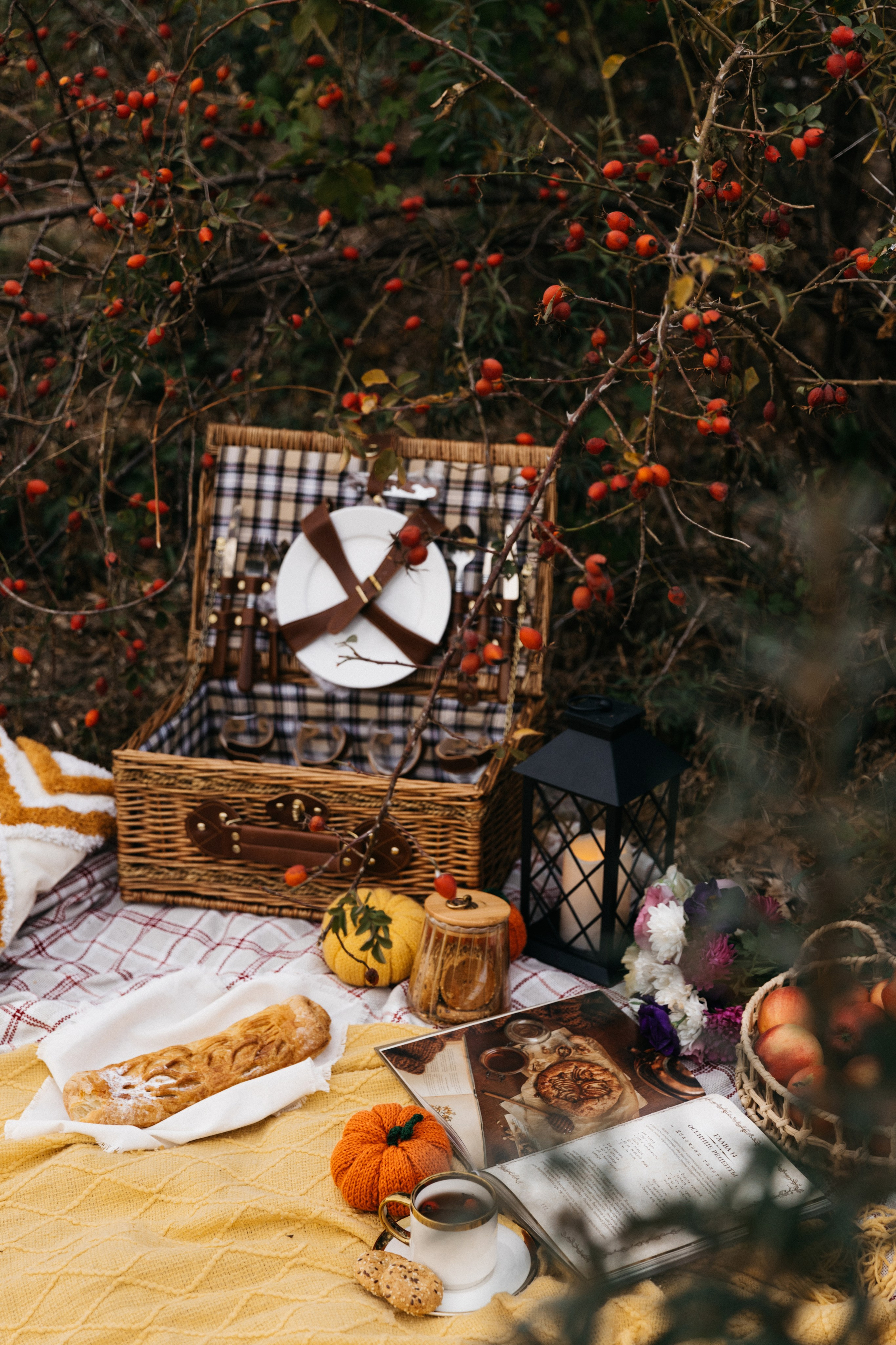 Осенний пикник. Женский и семейный фотограф в Туле Катя Вуколова