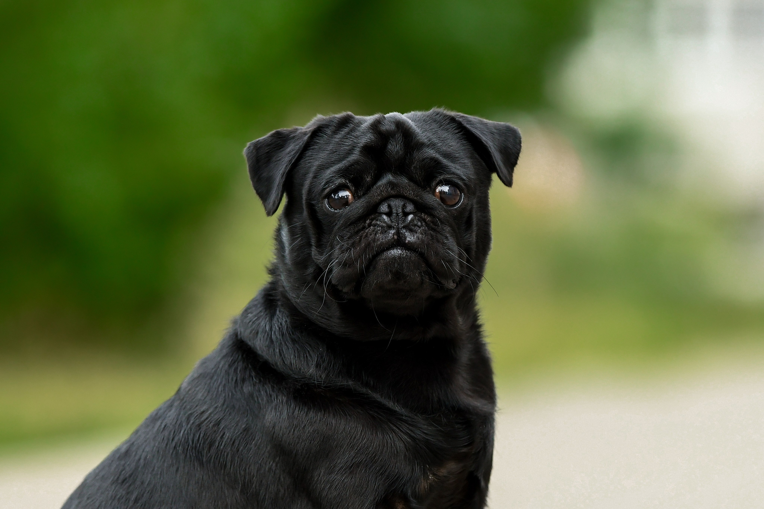 Экстерьерная съёмка