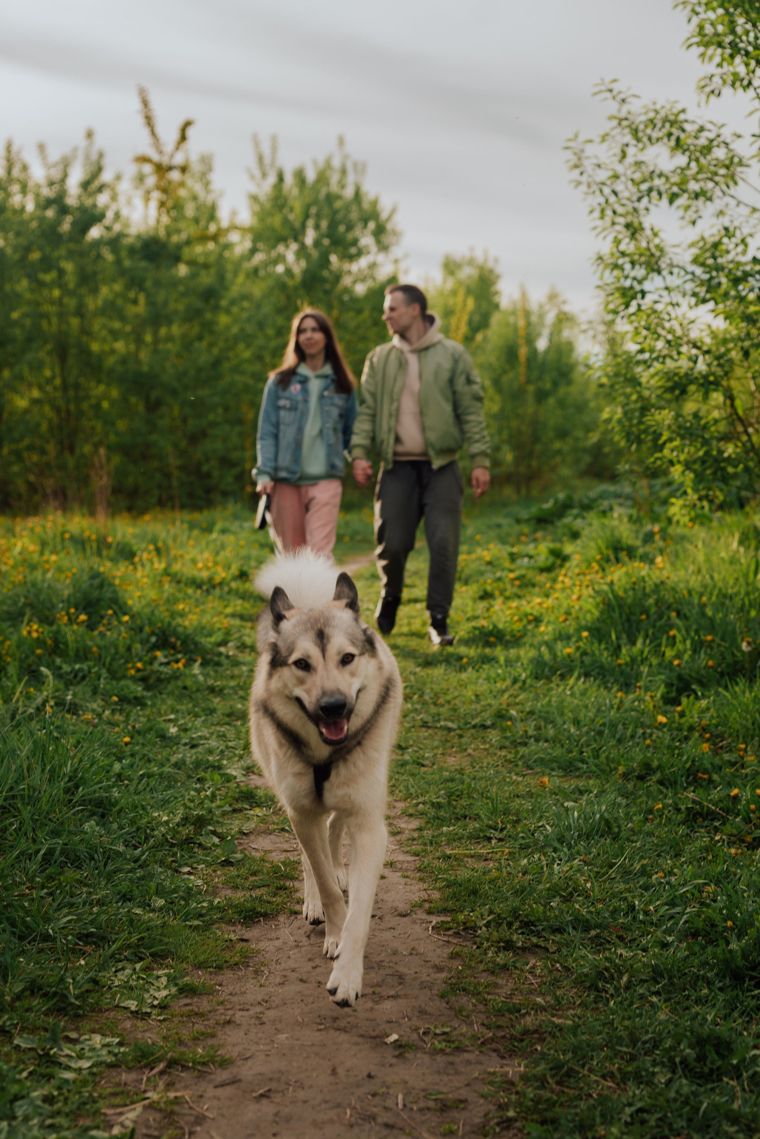 Фотовыходные с питомцами Мурино. Фотограф в Санкт-Петербурге и Ленинградской области