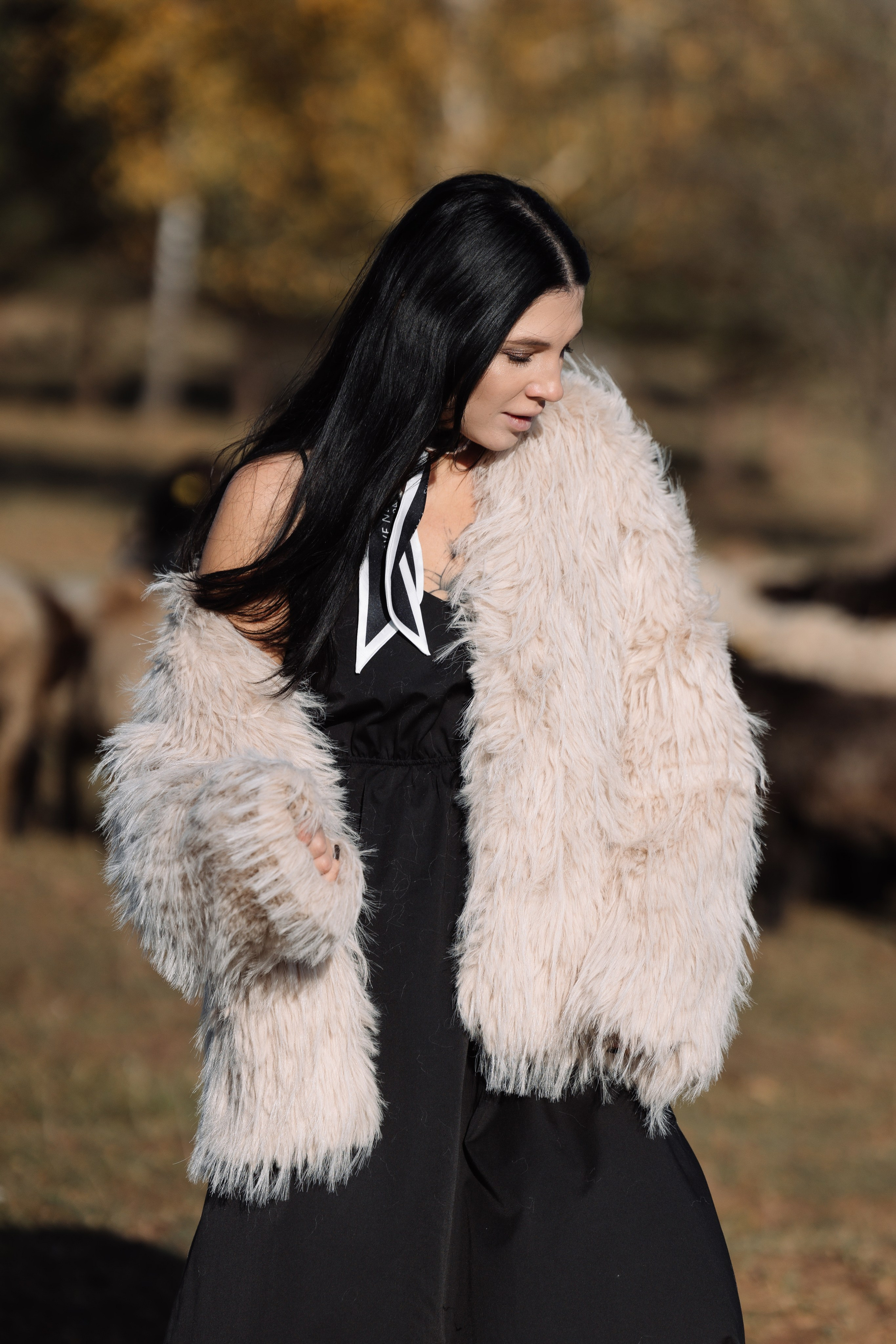 Охота на овец