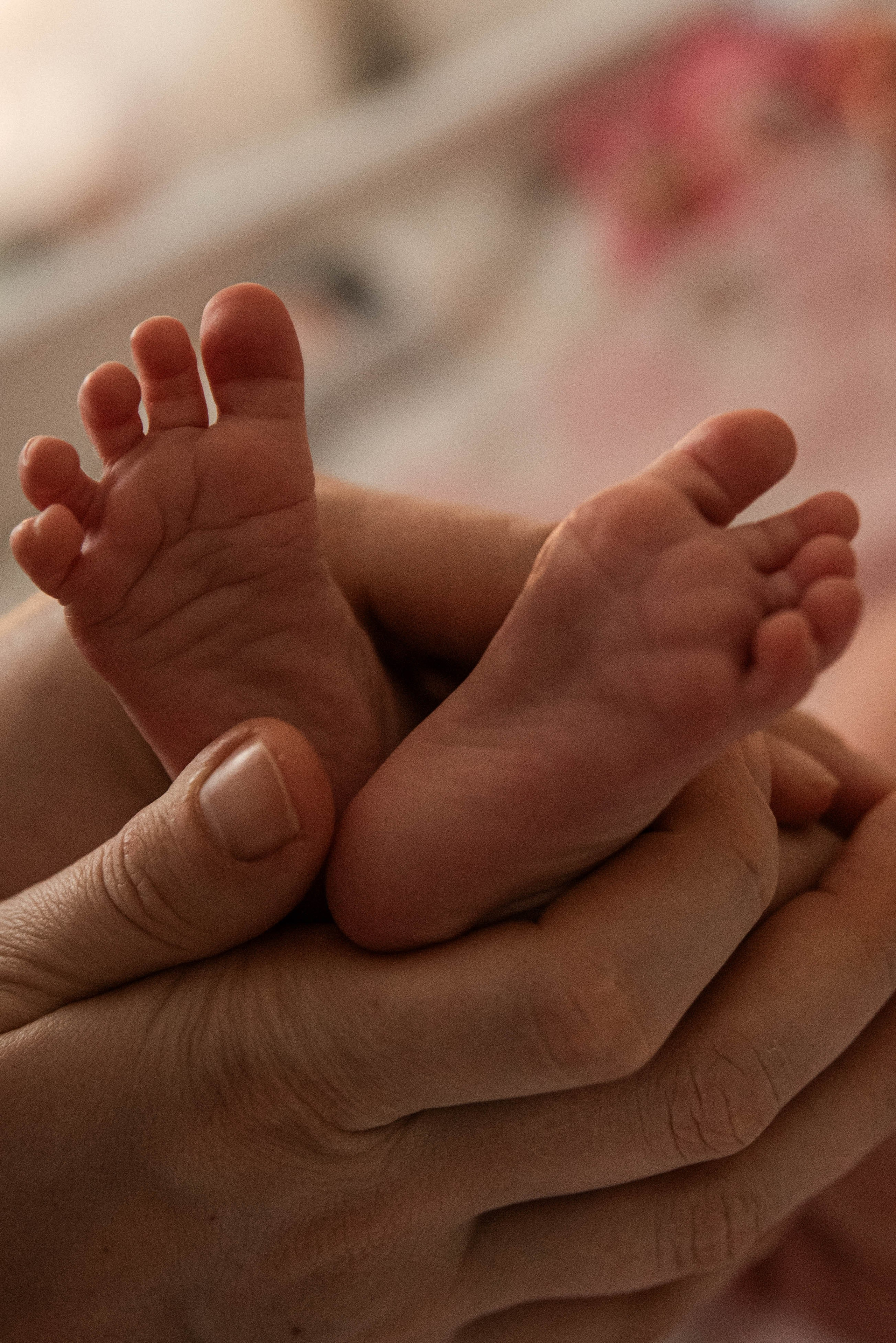 Ксюшенька. Семейный и детский фотограф в Санкт-Петербурге Татьяна Дмитренко