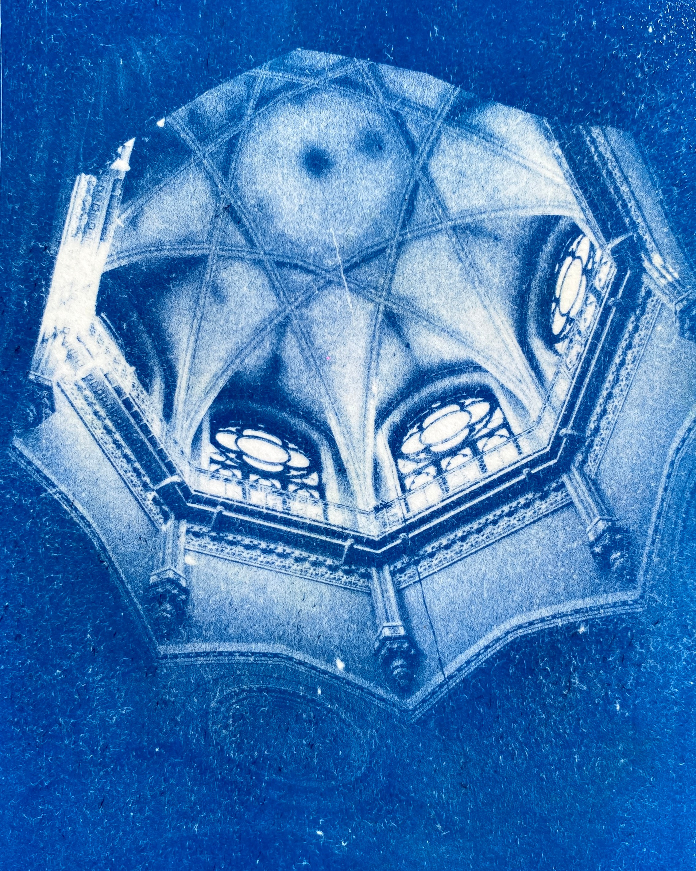 CYANOTYPE. ANNA — PHOTOGRAPHER