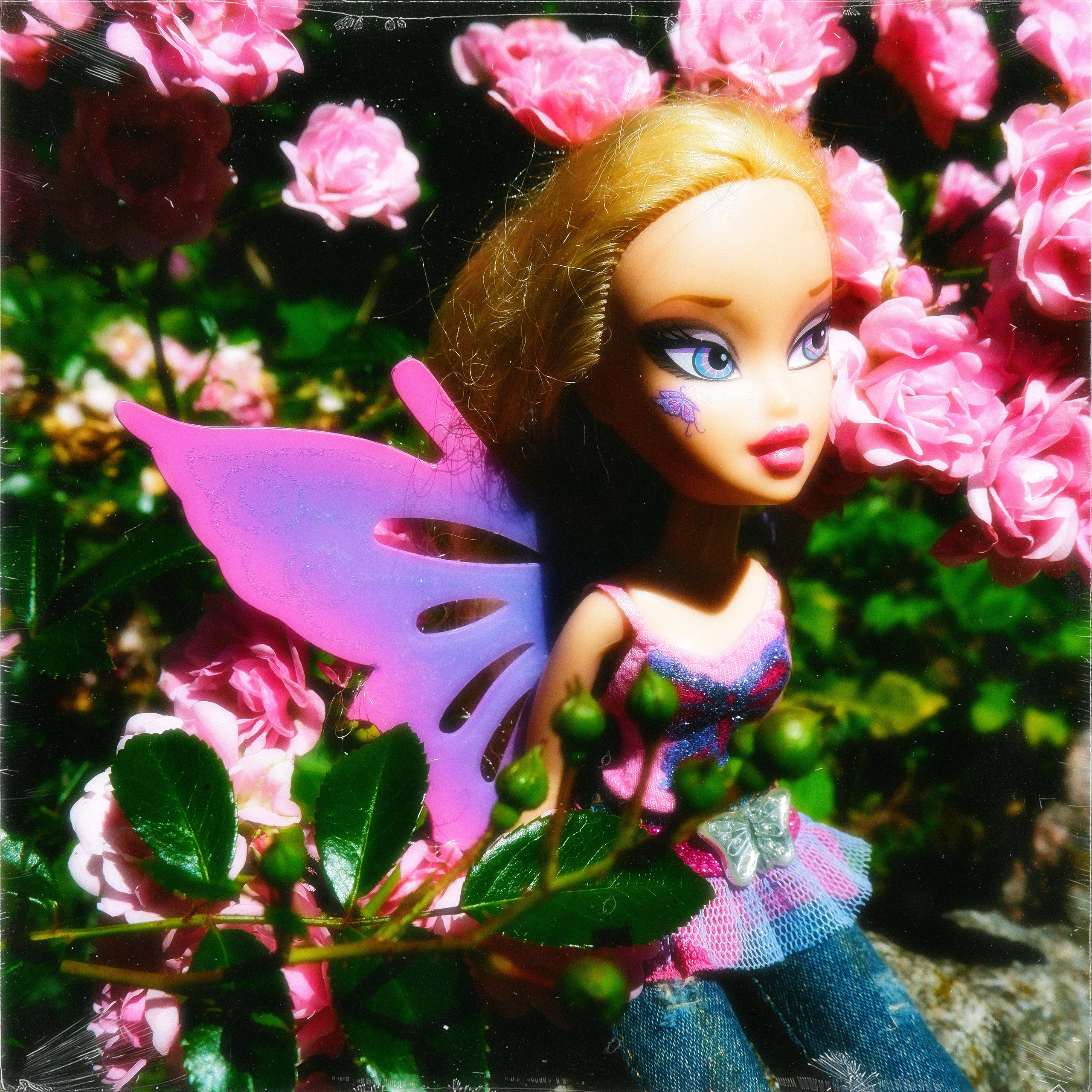 TOYS. ANNA — PHOTOGRAPHER