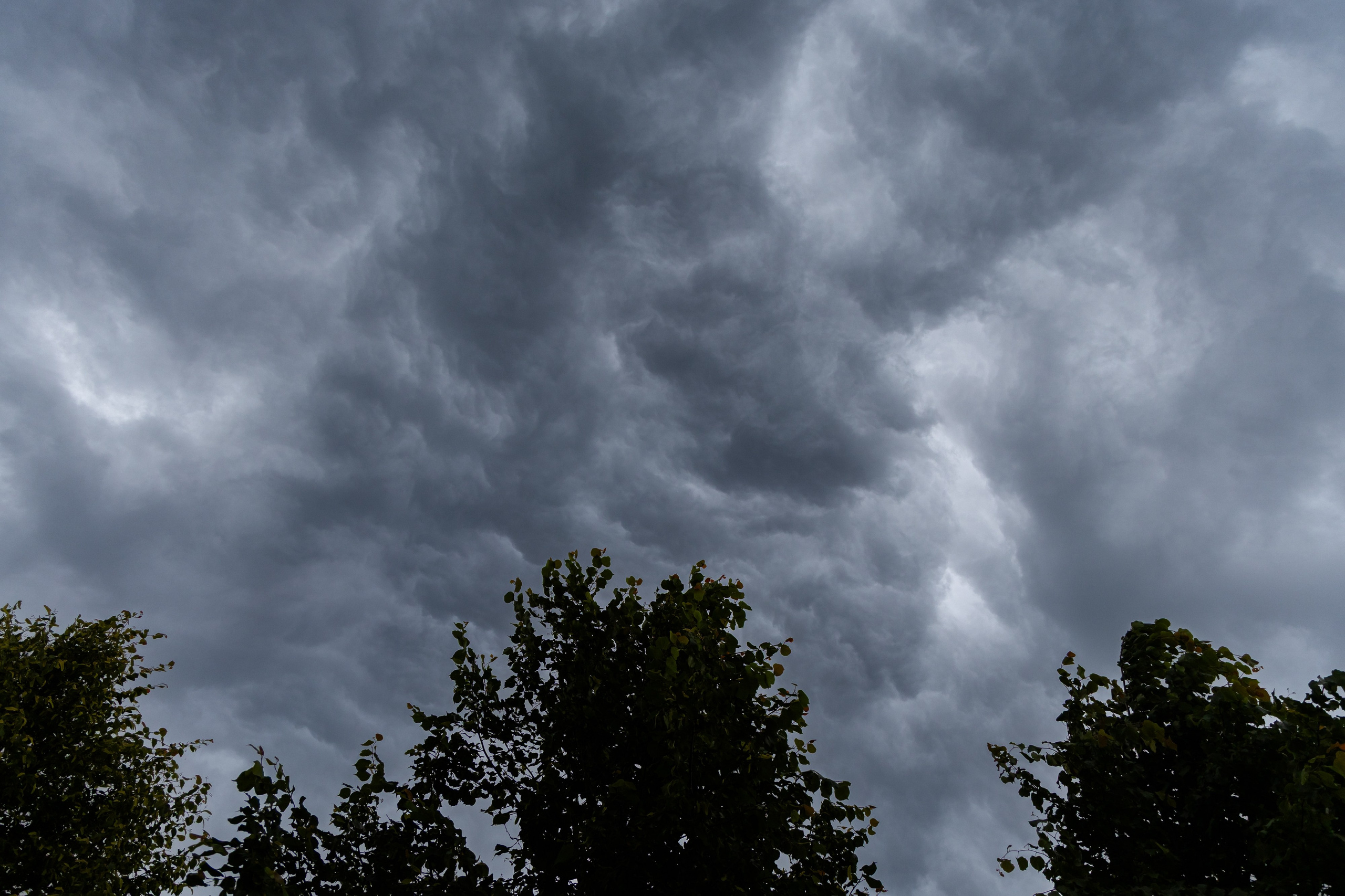 Школьный выпускной 2025 год в Минске, Беларуси. Свадебный фотограф в Минске/Беларуси Сергей Спиридонов