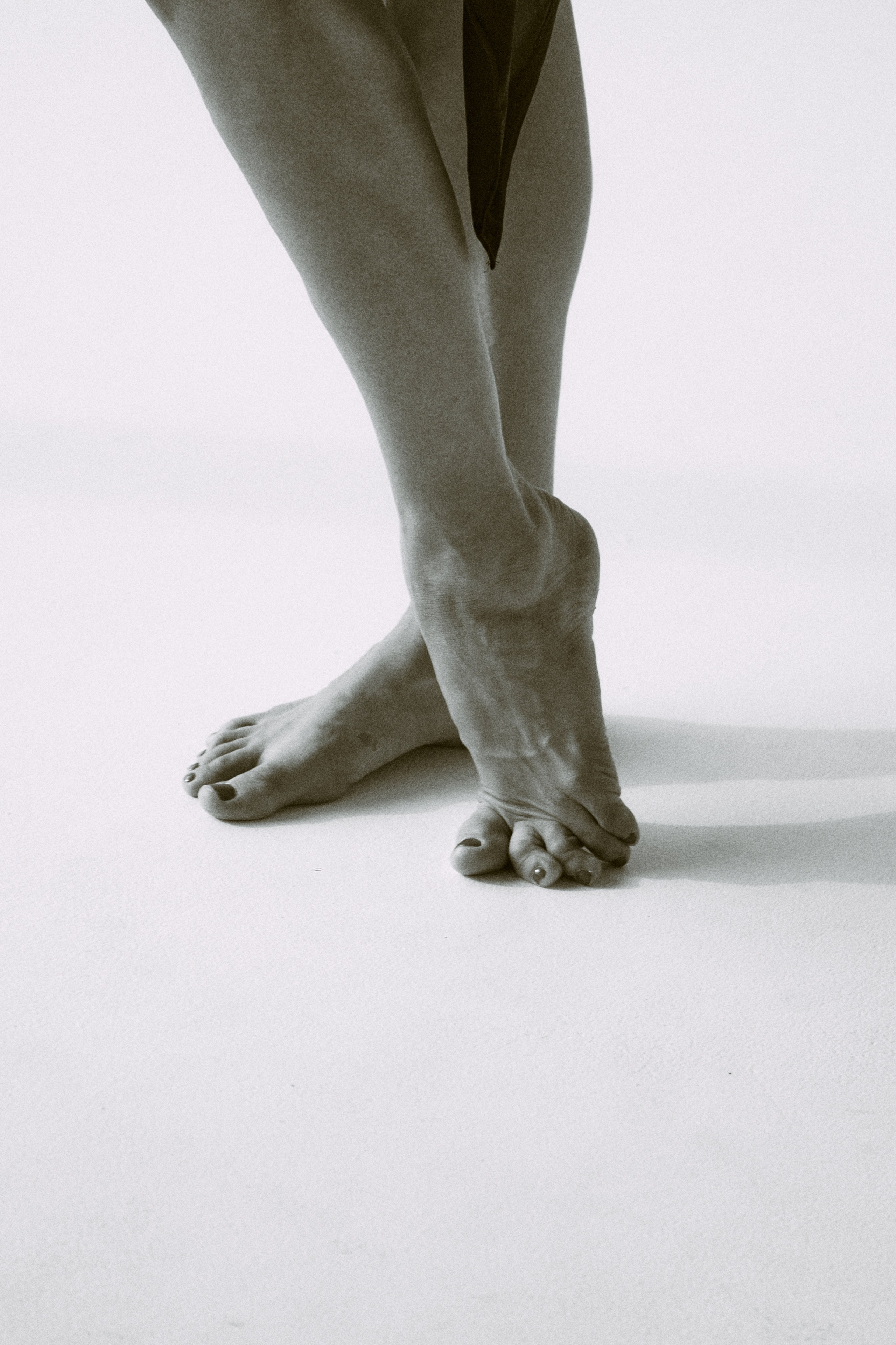 Птица. Сайт фотографа в Саратове