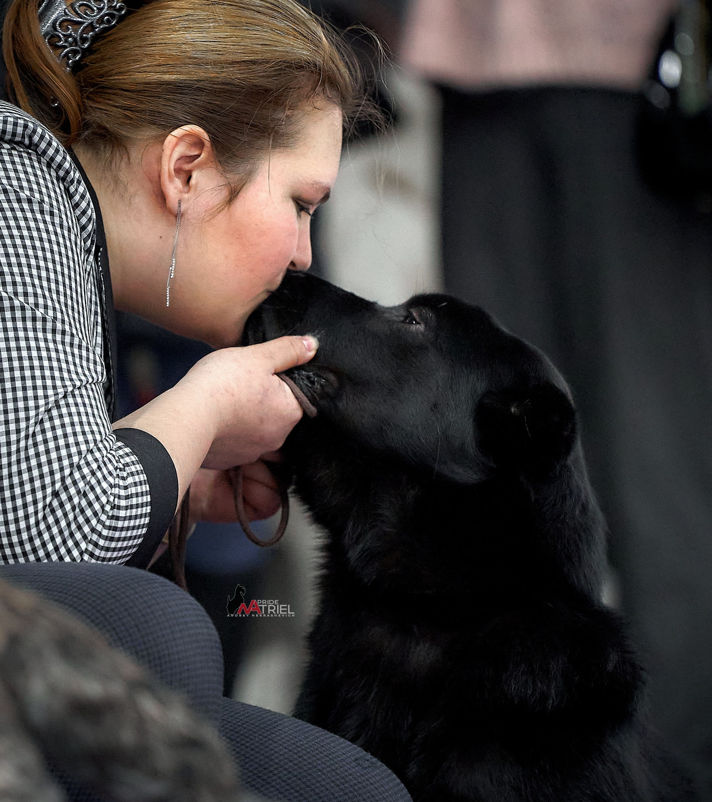 Собаки и Люди — галерея NATRIEL