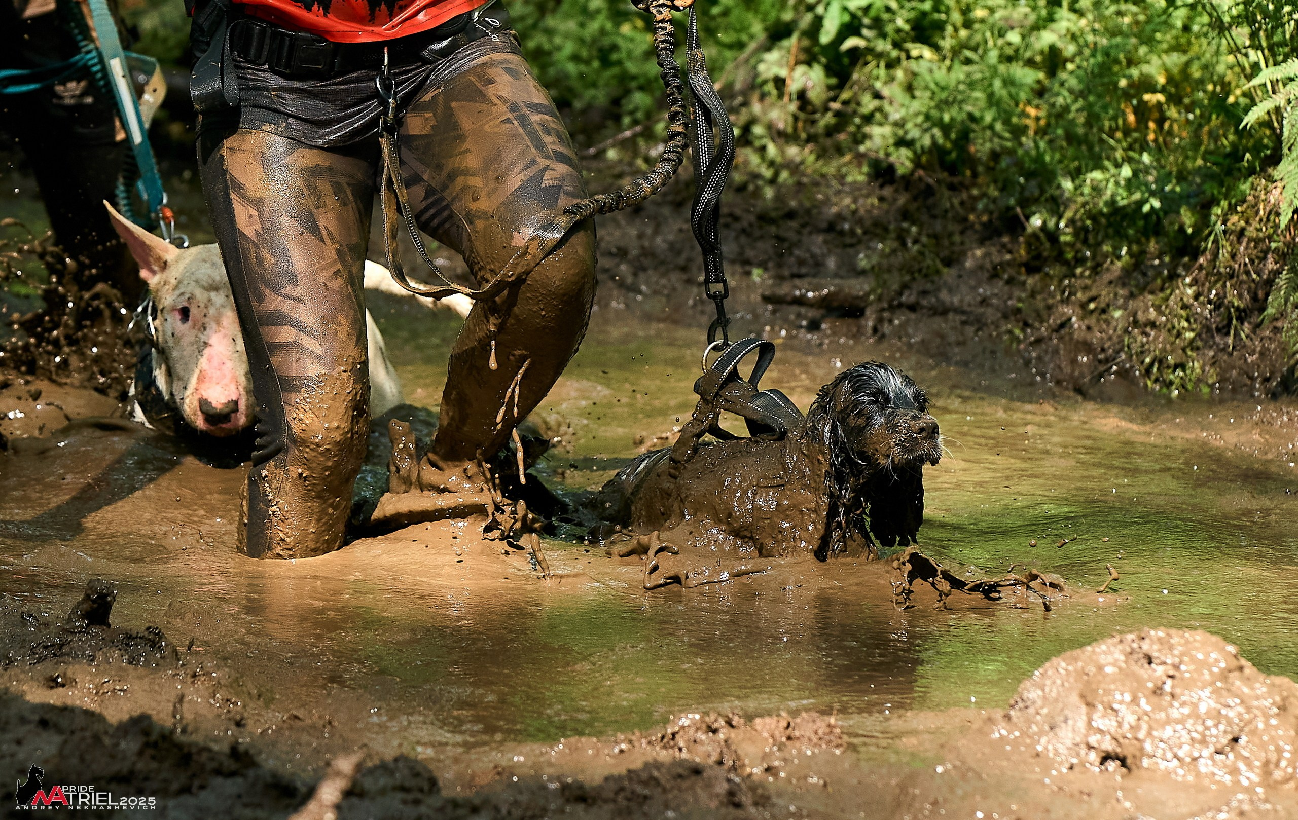 Russian Extreme Dog Trail — 2025