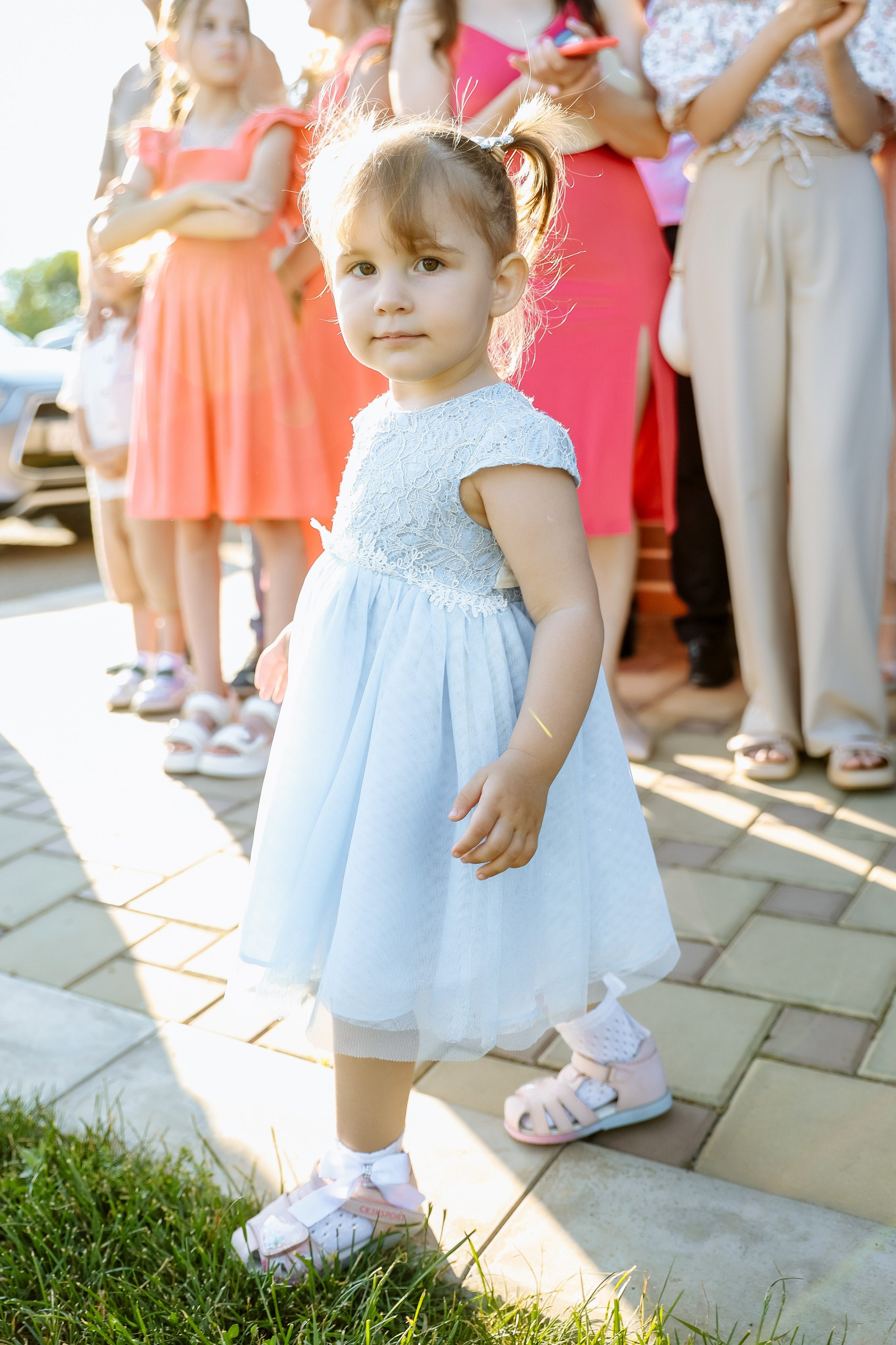 Максим & Ольга. Свадебный фотограф Ольга Гречко