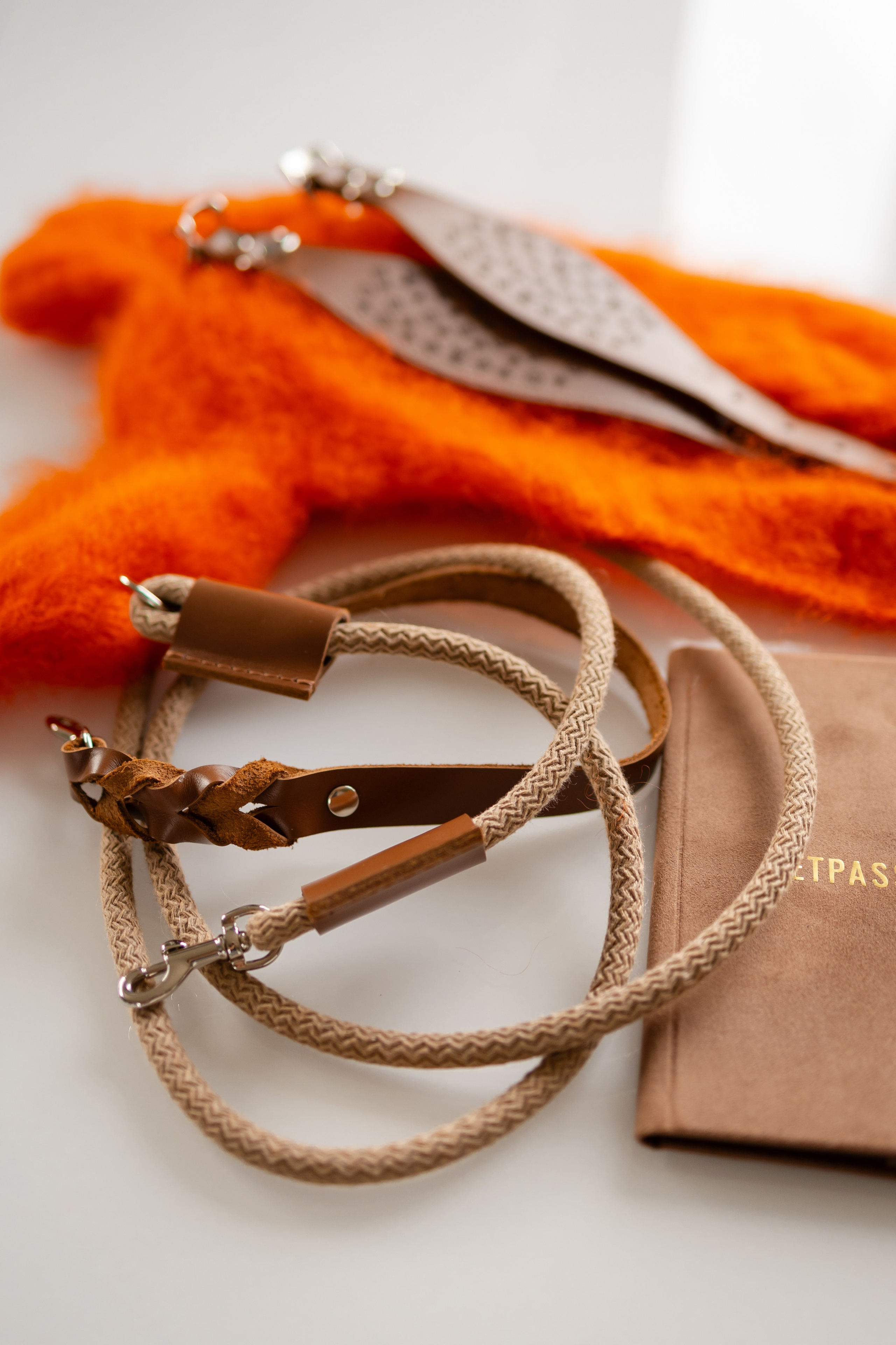 Прогулки. Профессиональный питомник левреток РКФ/FCI ASTI SAPPHIRE 💎 Сочи|Санкт-Петербург