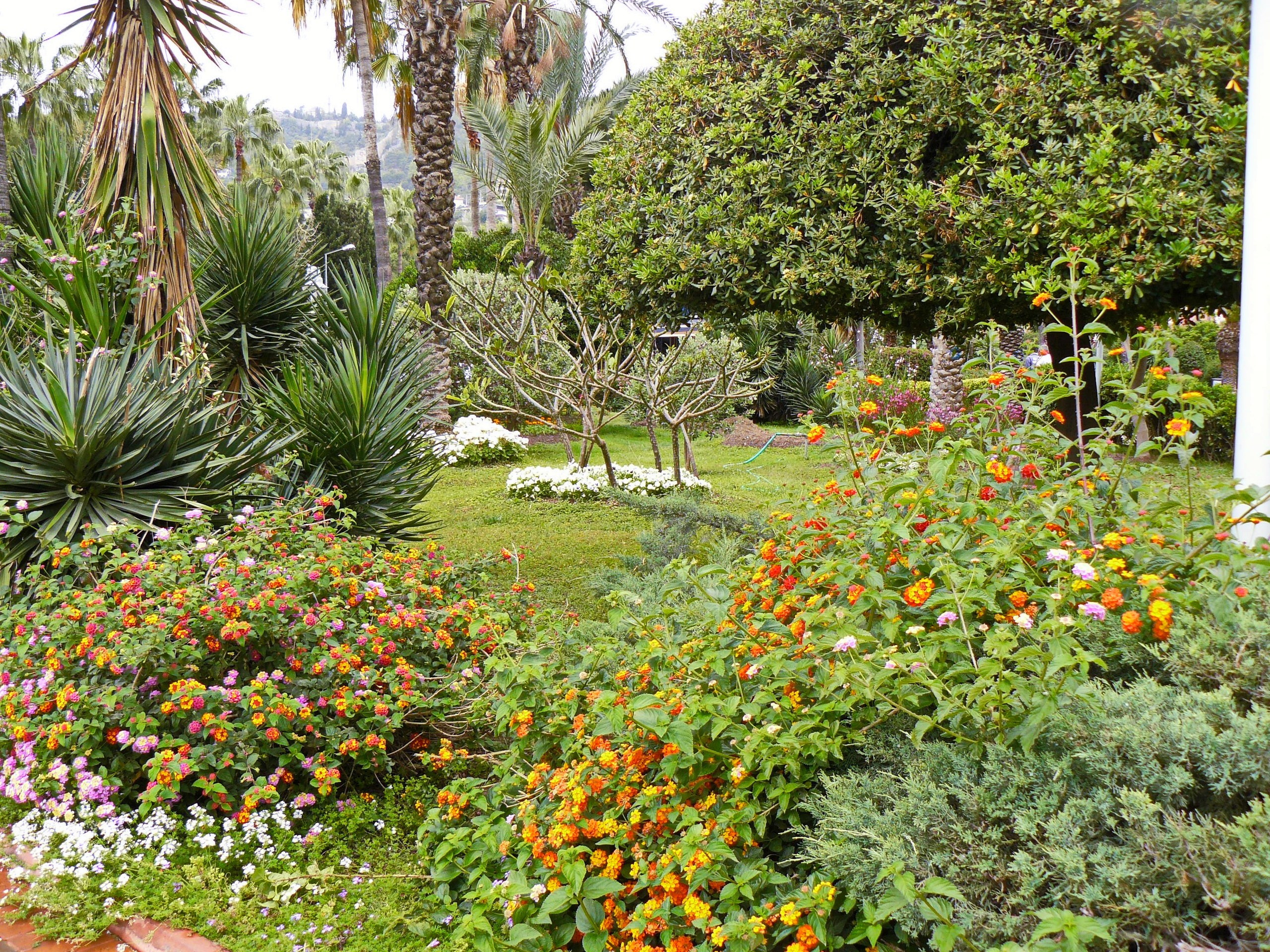 Алания 2014. Фотопрогулки по Миру